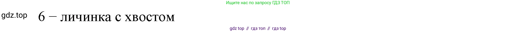 Биология, 8 класс рабочая тетрадь, авторы: Суматохин Сергей Витальевич, Пасечник Владимир Васильевич, Гапонюк Зоя Георгиевна, издательство Просвещение, Москва, 2023, оранжевого цвета, страница 64, номер 4, Решение (продолжение 2)
