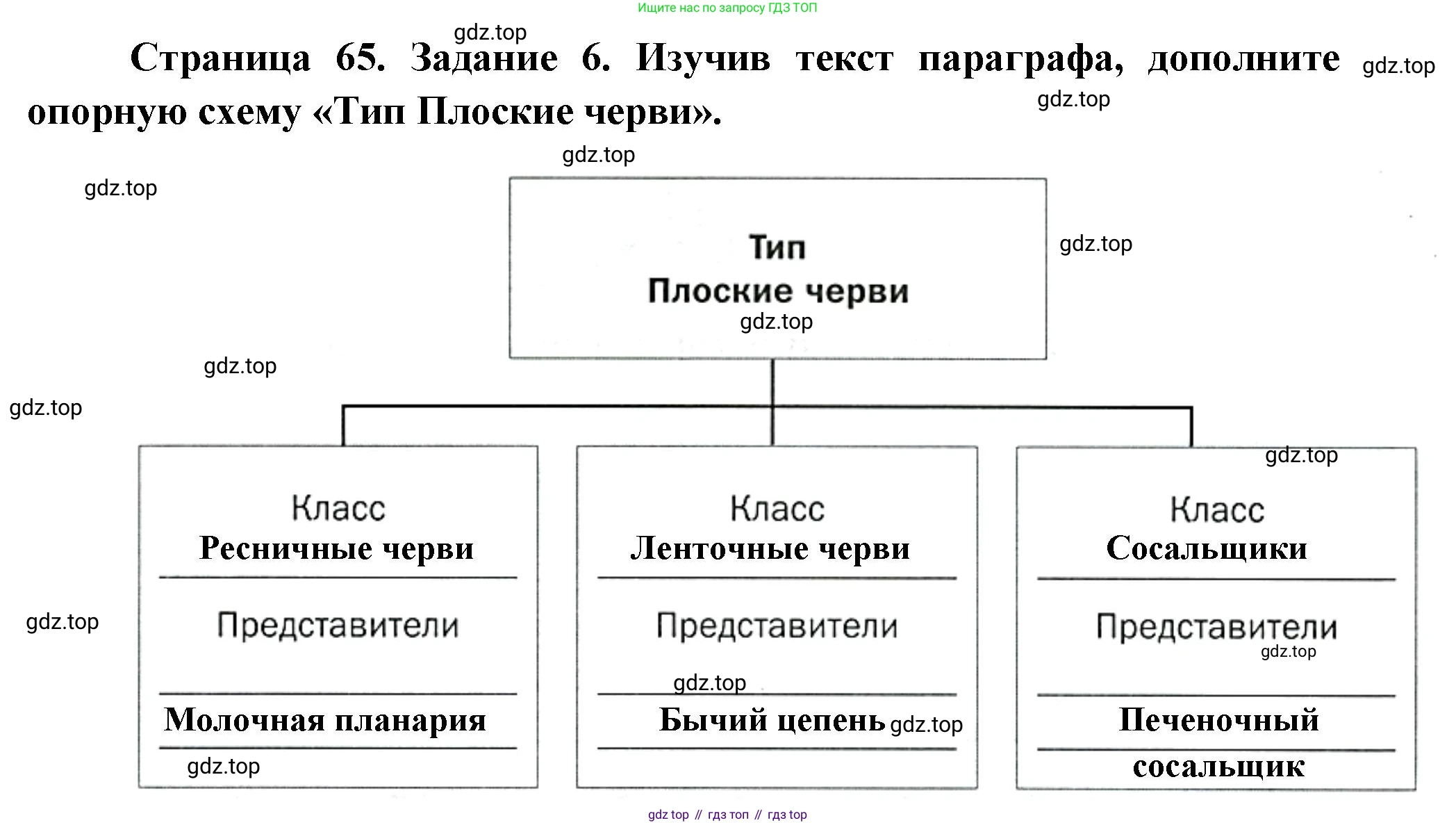 Биология, 8 класс рабочая тетрадь, авторы: Суматохин Сергей Витальевич, Пасечник Владимир Васильевич, Гапонюк Зоя Георгиевна, издательство Просвещение, Москва, 2023, оранжевого цвета, страница 65, номер 6, Решение