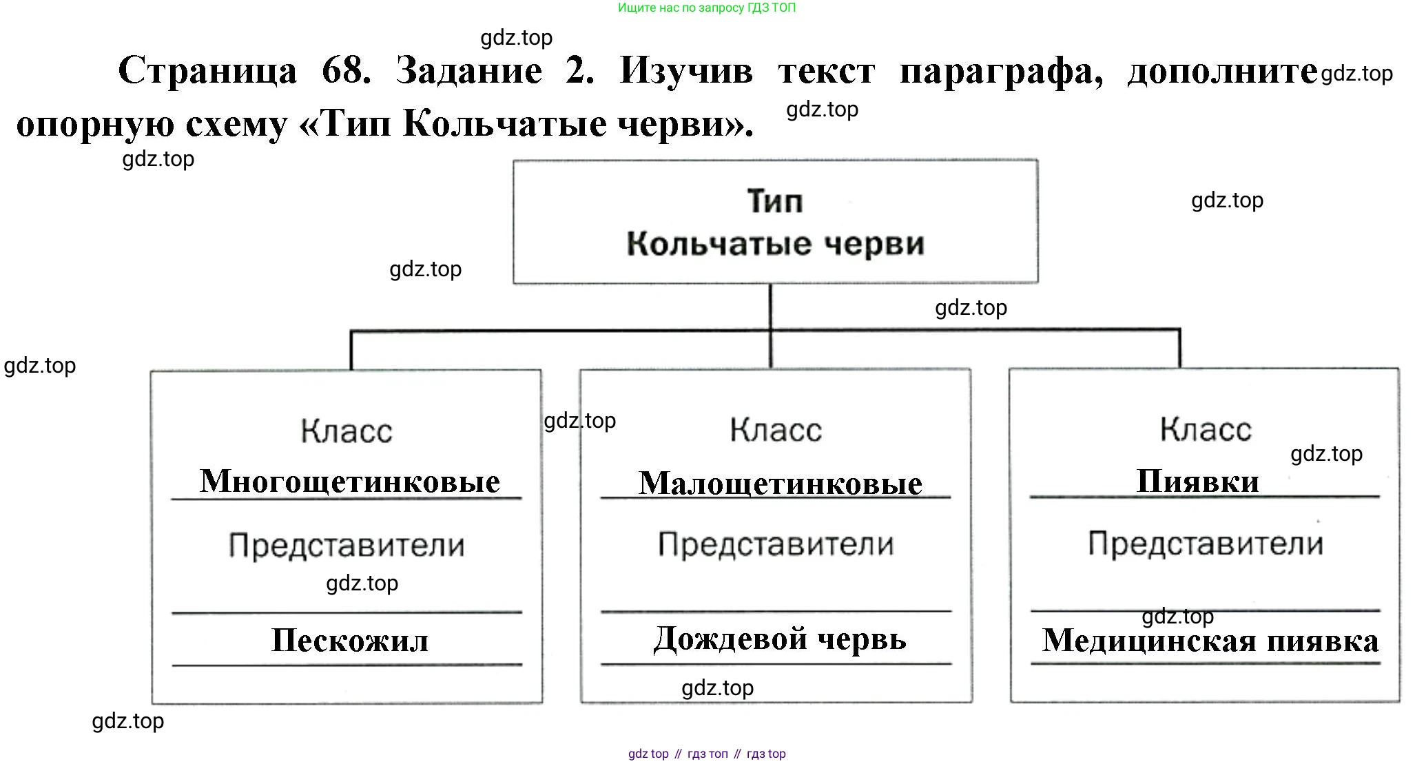 Биология, 8 класс рабочая тетрадь, авторы: Суматохин Сергей Витальевич, Пасечник Владимир Васильевич, Гапонюк Зоя Георгиевна, издательство Просвещение, Москва, 2023, оранжевого цвета, страница 68, номер 2, Решение