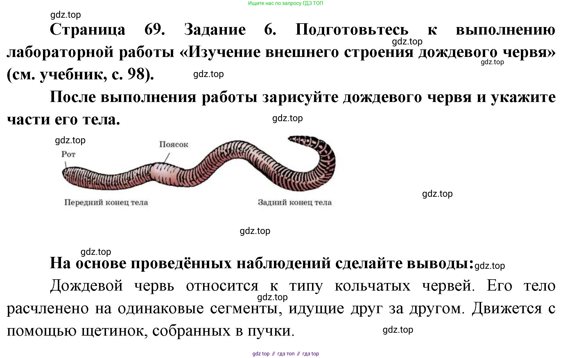 Биология, 8 класс рабочая тетрадь, авторы: Суматохин Сергей Витальевич, Пасечник Владимир Васильевич, Гапонюк Зоя Георгиевна, издательство Просвещение, Москва, 2023, оранжевого цвета, страница 69, номер 6, Решение