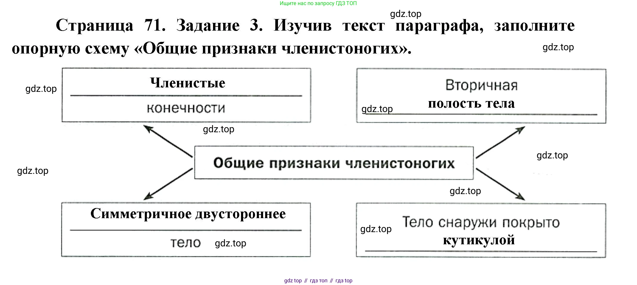 Биология, 8 класс рабочая тетрадь, авторы: Суматохин Сергей Витальевич, Пасечник Владимир Васильевич, Гапонюк Зоя Георгиевна, издательство Просвещение, Москва, 2023, оранжевого цвета, страница 71, номер 3, Решение