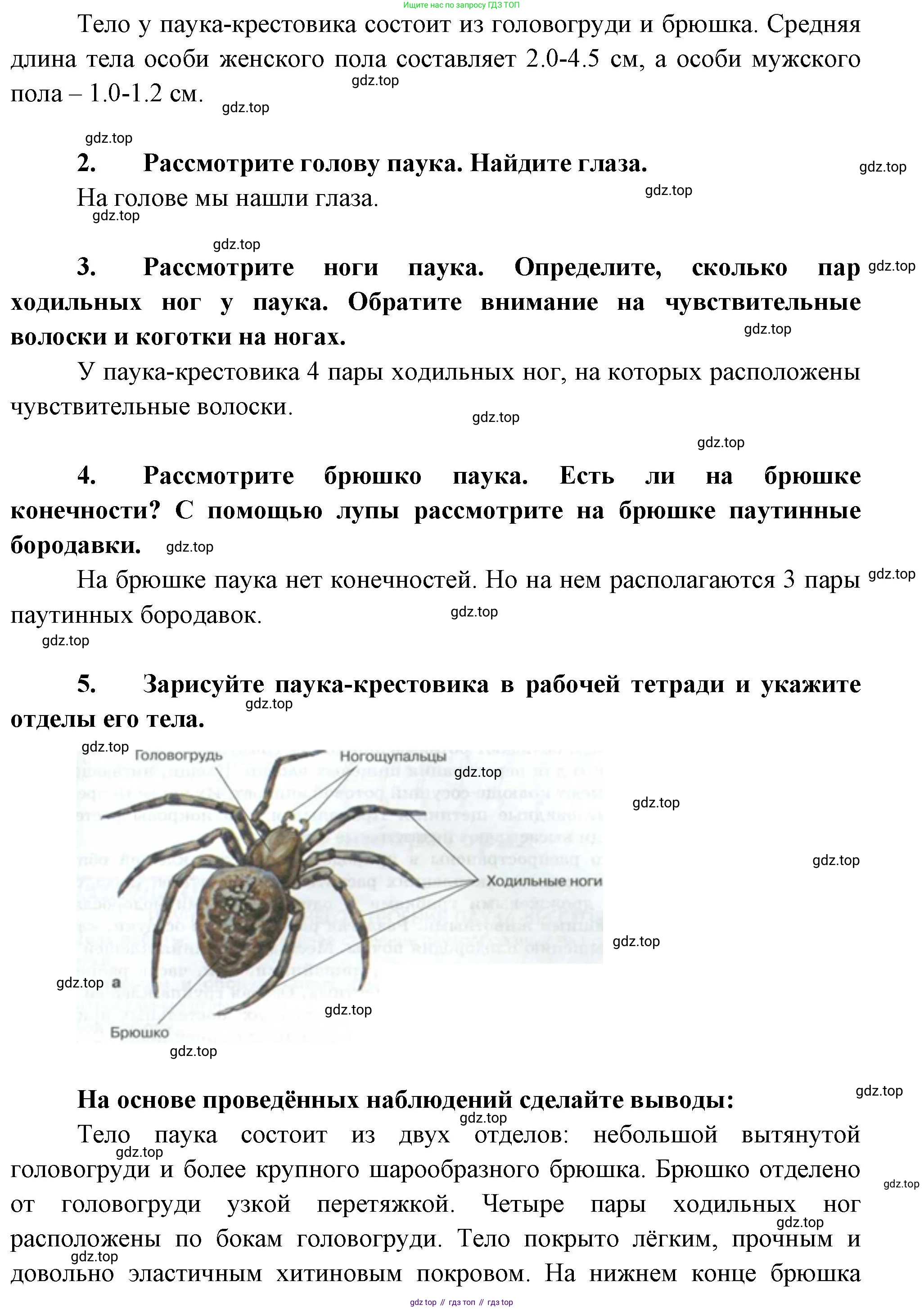 Биология, 8 класс рабочая тетрадь, авторы: Суматохин Сергей Витальевич, Пасечник Владимир Васильевич, Гапонюк Зоя Георгиевна, издательство Просвещение, Москва, 2023, оранжевого цвета, страница 75, номер 6, Решение (продолжение 2)