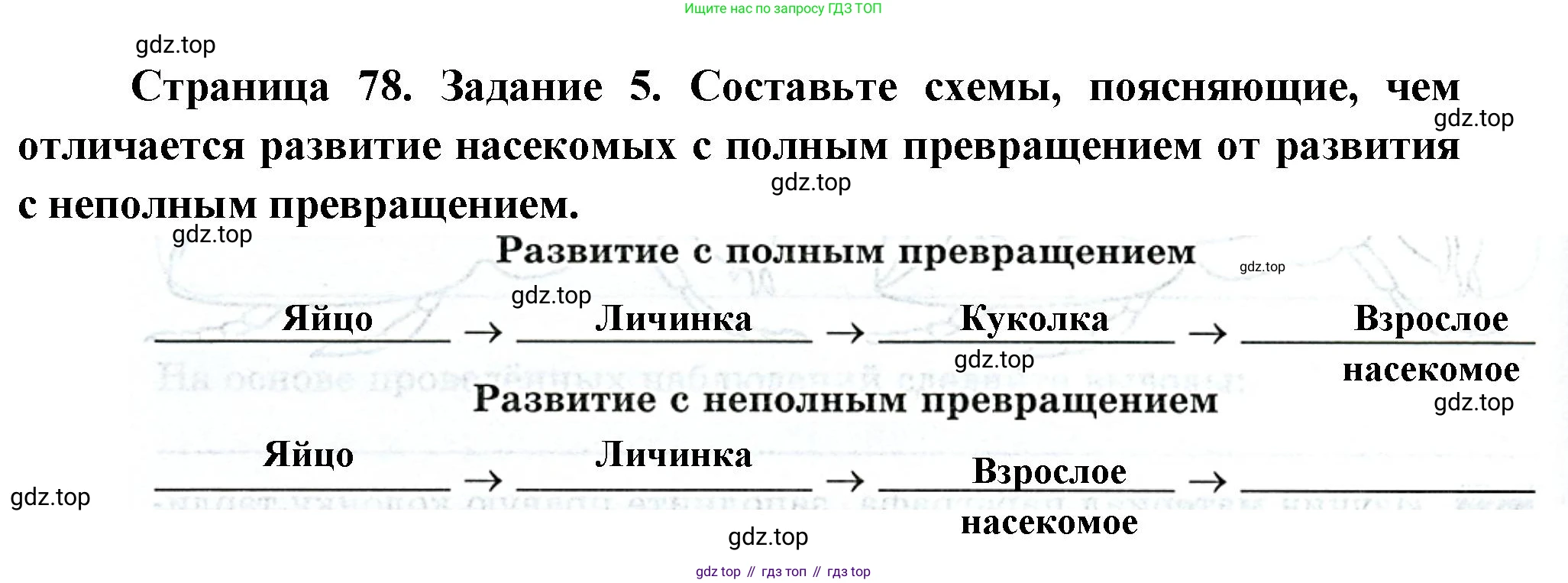 Биология, 8 класс рабочая тетрадь, авторы: Суматохин Сергей Витальевич, Пасечник Владимир Васильевич, Гапонюк Зоя Георгиевна, издательство Просвещение, Москва, 2023, оранжевого цвета, страница 78, номер 5, Решение