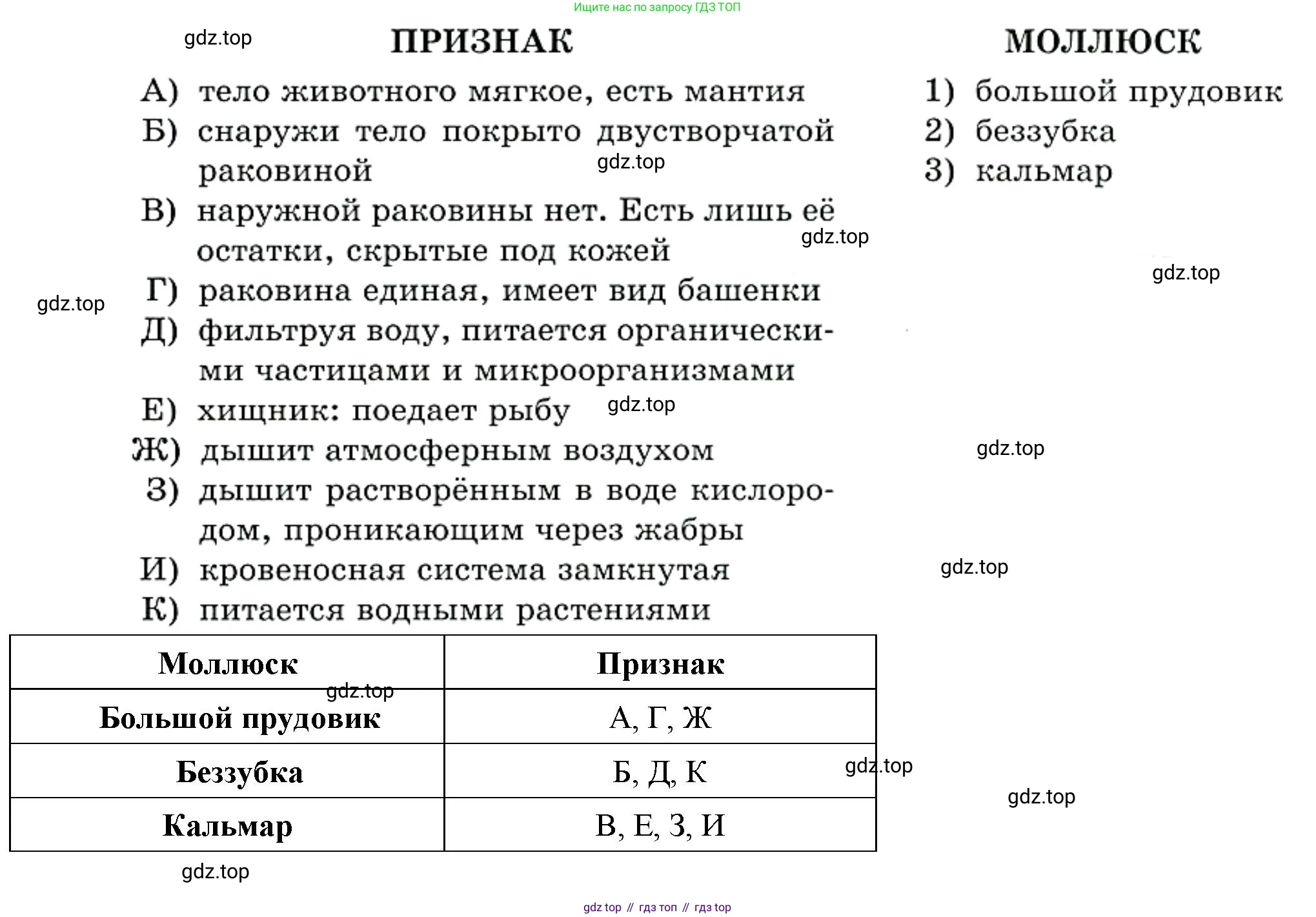 Биология, 8 класс рабочая тетрадь, авторы: Суматохин Сергей Витальевич, Пасечник Владимир Васильевич, Гапонюк Зоя Георгиевна, издательство Просвещение, Москва, 2023, оранжевого цвета, страница 89, номер 2, Решение (продолжение 2)