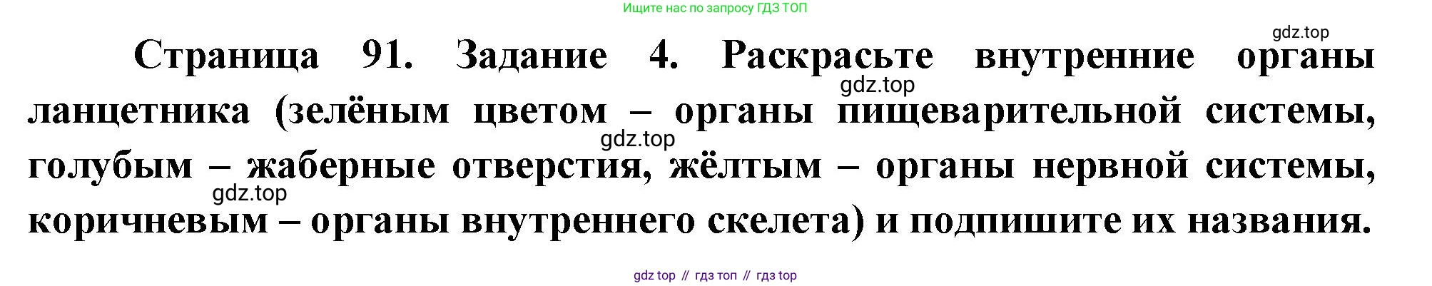 Биология, 8 класс рабочая тетрадь, авторы: Суматохин Сергей Витальевич, Пасечник Владимир Васильевич, Гапонюк Зоя Георгиевна, издательство Просвещение, Москва, 2023, оранжевого цвета, страница 91, номер 4, Решение