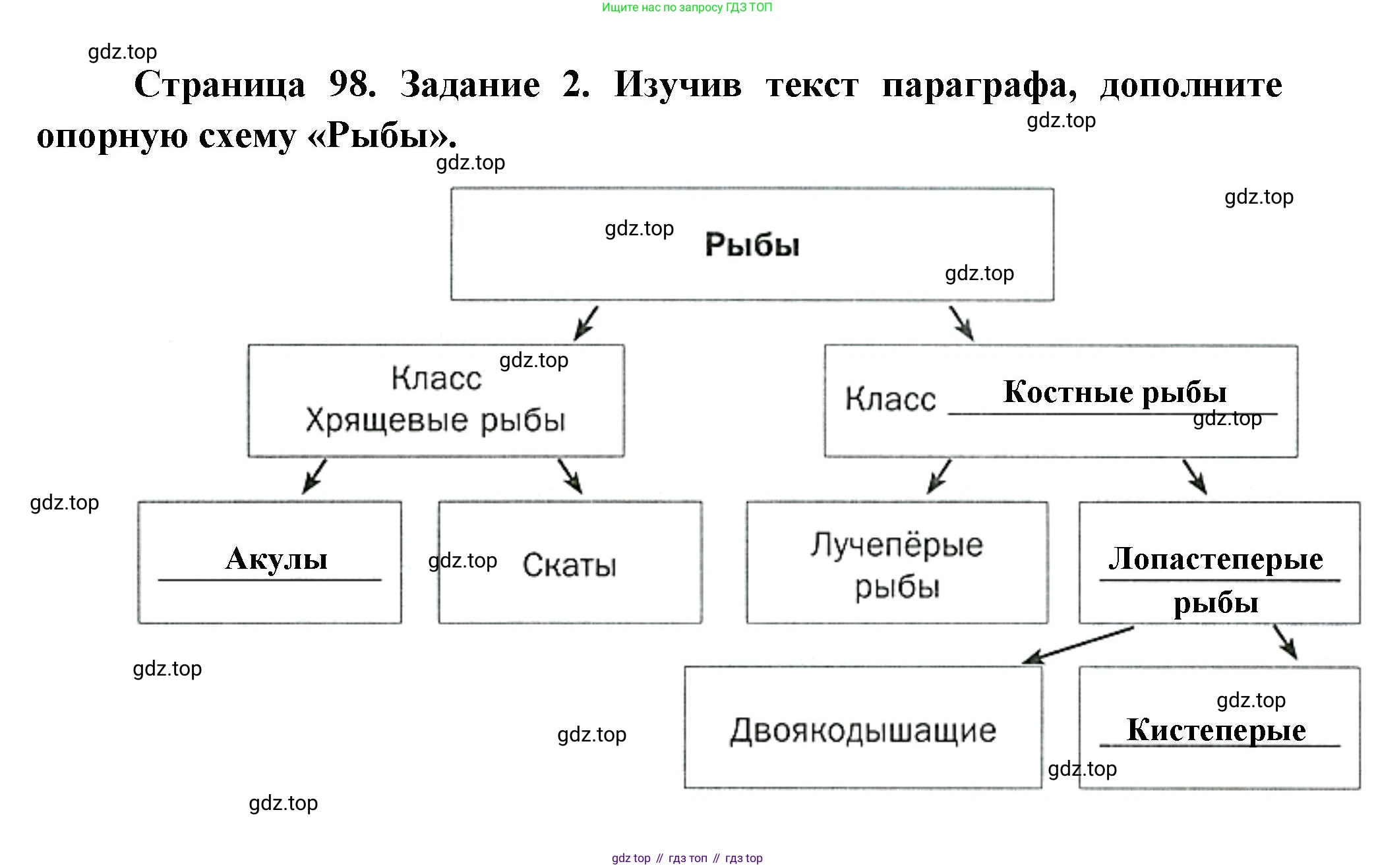 Биология, 8 класс рабочая тетрадь, авторы: Суматохин Сергей Витальевич, Пасечник Владимир Васильевич, Гапонюк Зоя Георгиевна, издательство Просвещение, Москва, 2023, оранжевого цвета, страница 98, номер 2, Решение