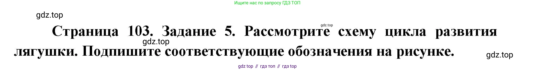 Биология, 8 класс рабочая тетрадь, авторы: Суматохин Сергей Витальевич, Пасечник Владимир Васильевич, Гапонюк Зоя Георгиевна, издательство Просвещение, Москва, 2023, оранжевого цвета, страница 103, номер 5, Решение