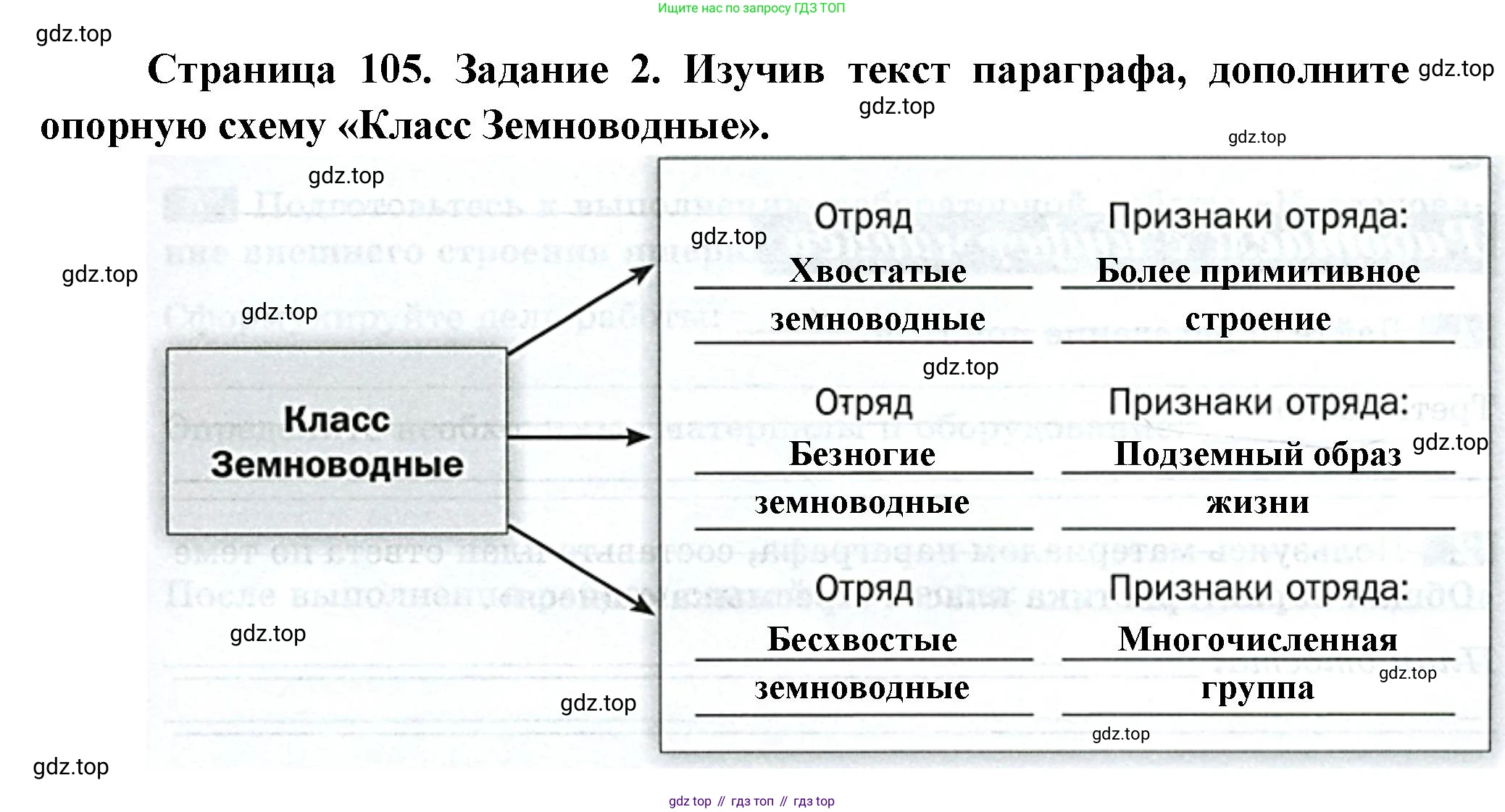 Биология, 8 класс рабочая тетрадь, авторы: Суматохин Сергей Витальевич, Пасечник Владимир Васильевич, Гапонюк Зоя Георгиевна, издательство Просвещение, Москва, 2023, оранжевого цвета, страница 105, номер 2, Решение