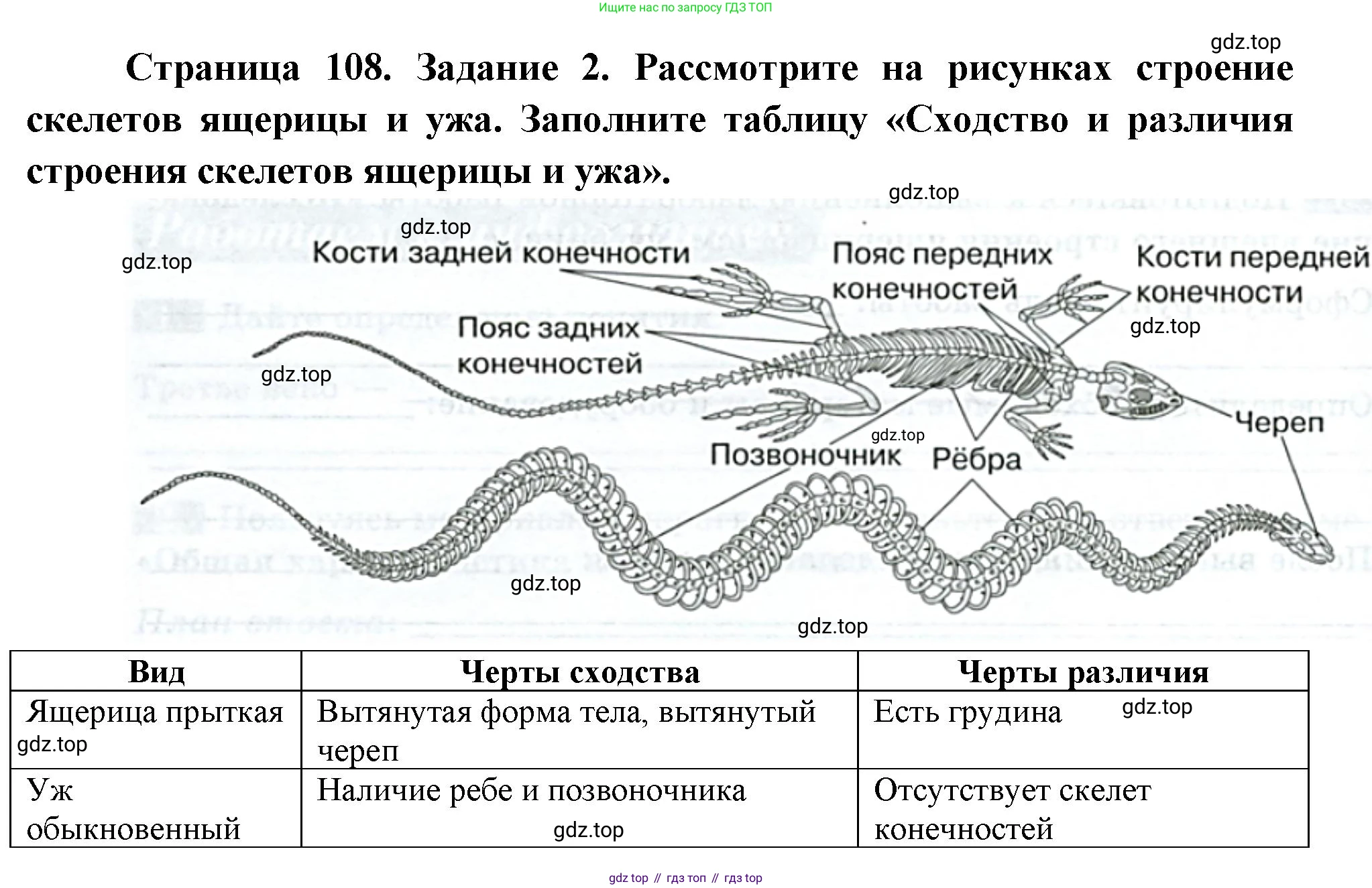 Биология, 8 класс рабочая тетрадь, авторы: Суматохин Сергей Витальевич, Пасечник Владимир Васильевич, Гапонюк Зоя Георгиевна, издательство Просвещение, Москва, 2023, оранжевого цвета, страница 108, номер 2, Решение