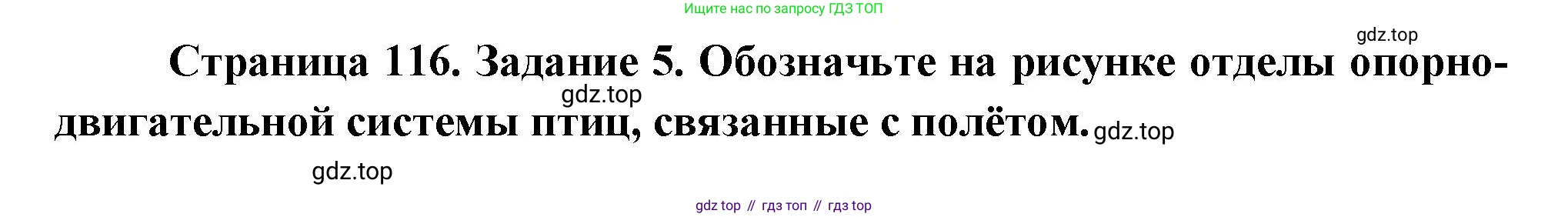 Биология, 8 класс рабочая тетрадь, авторы: Суматохин Сергей Витальевич, Пасечник Владимир Васильевич, Гапонюк Зоя Георгиевна, издательство Просвещение, Москва, 2023, оранжевого цвета, страница 116, номер 5, Решение