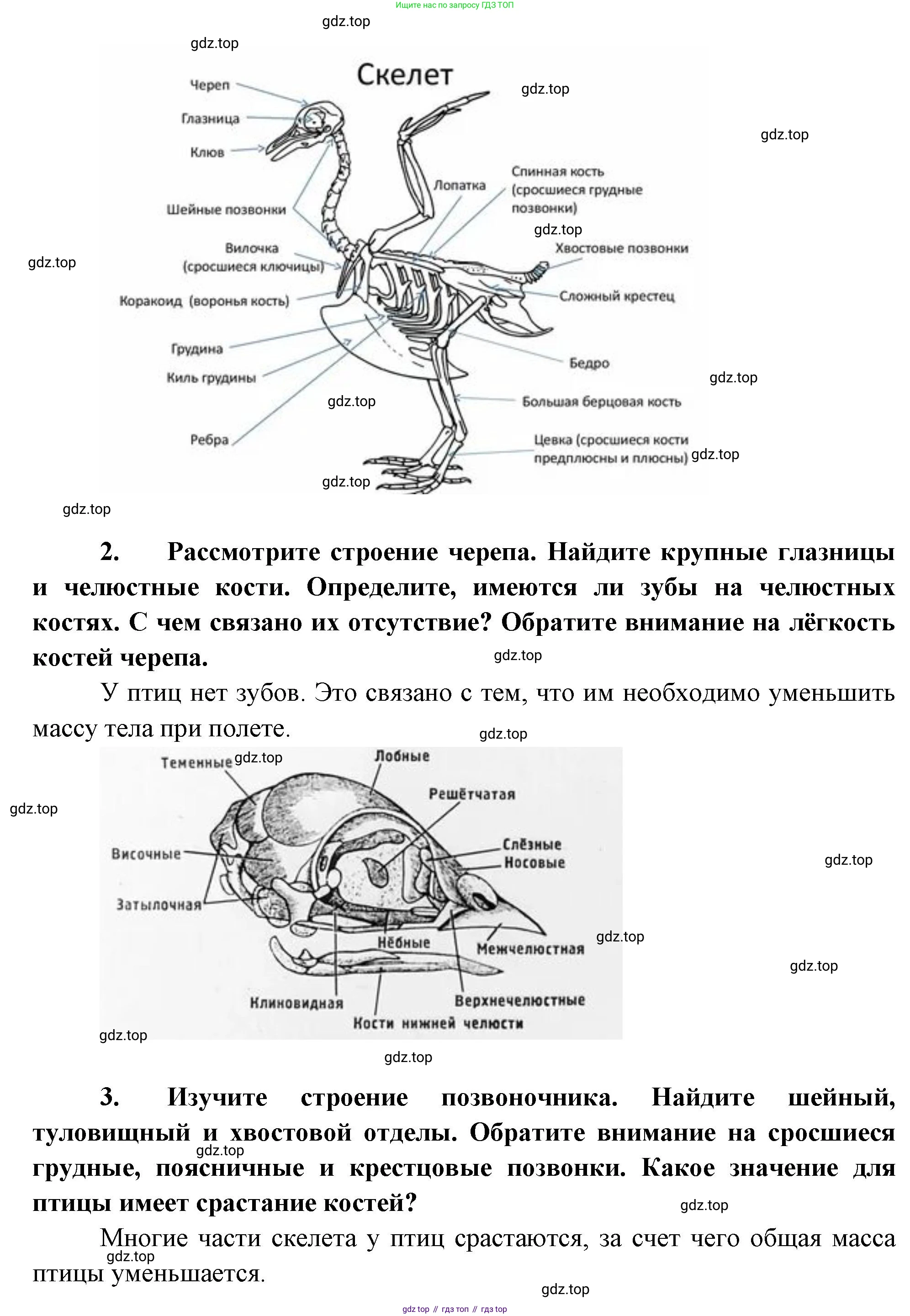 Биология, 8 класс рабочая тетрадь, авторы: Суматохин Сергей Витальевич, Пасечник Владимир Васильевич, Гапонюк Зоя Георгиевна, издательство Просвещение, Москва, 2023, оранжевого цвета, страница 116, номер 6, Решение (продолжение 2)