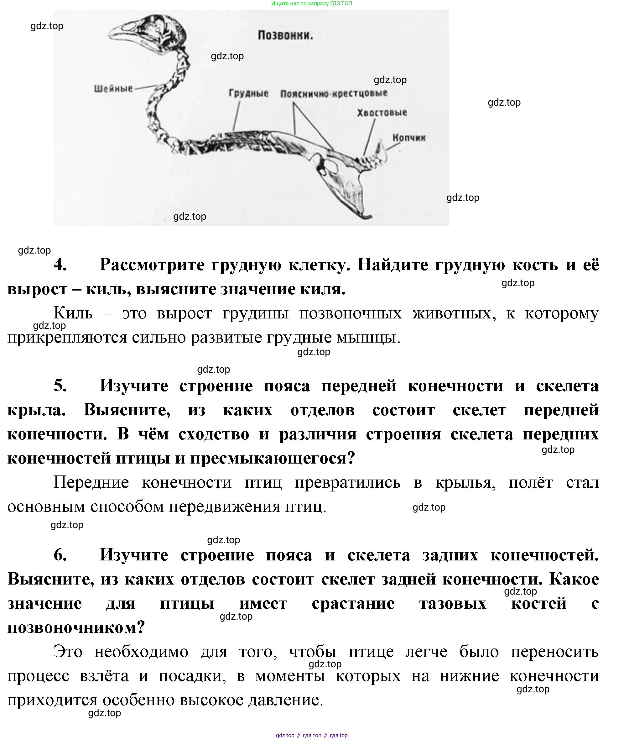 Биология, 8 класс рабочая тетрадь, авторы: Суматохин Сергей Витальевич, Пасечник Владимир Васильевич, Гапонюк Зоя Георгиевна, издательство Просвещение, Москва, 2023, оранжевого цвета, страница 116, номер 6, Решение (продолжение 3)