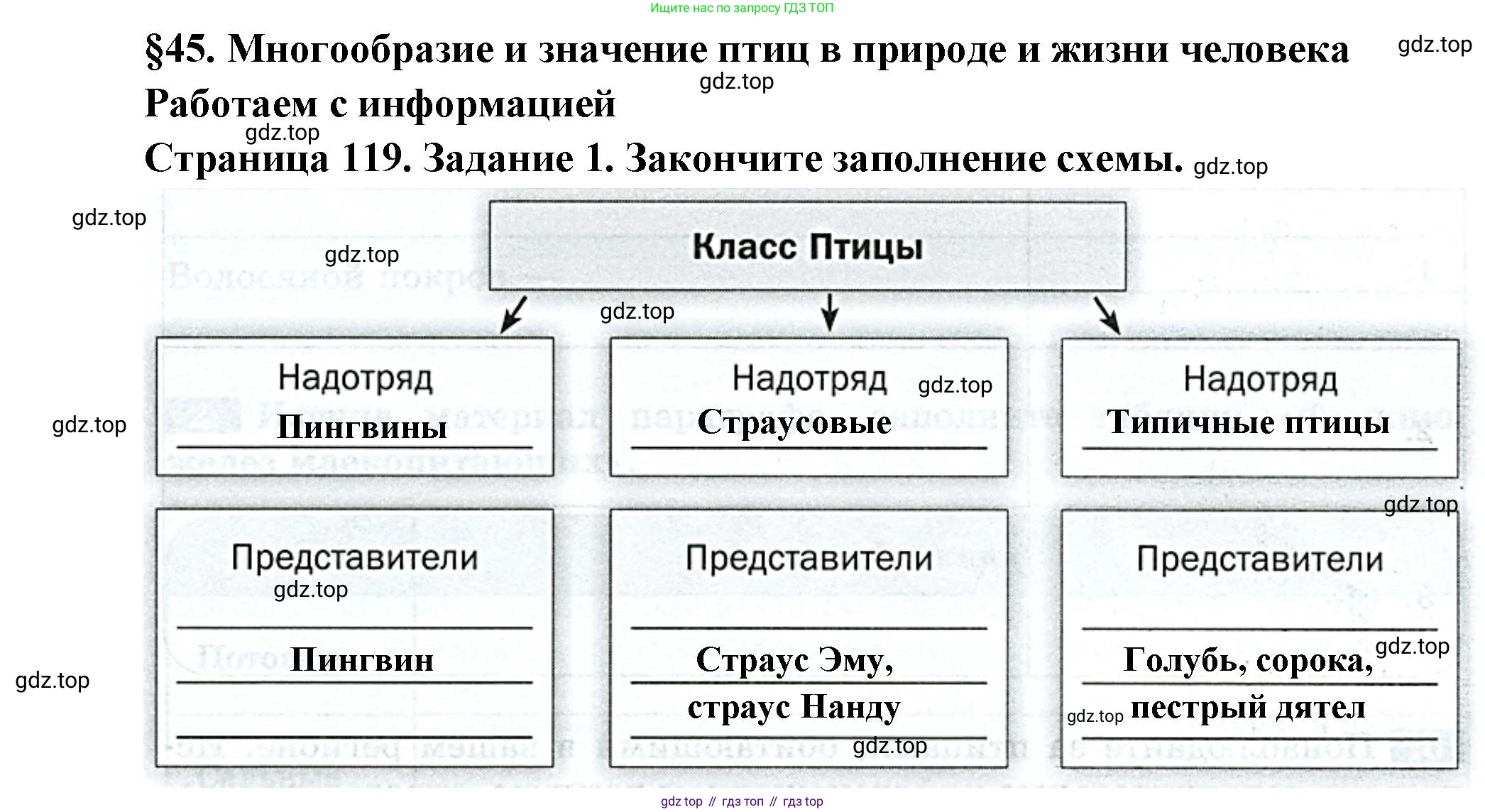 Биология, 8 класс рабочая тетрадь, авторы: Суматохин Сергей Витальевич, Пасечник Владимир Васильевич, Гапонюк Зоя Георгиевна, издательство Просвещение, Москва, 2023, оранжевого цвета, страница 119, номер 1, Решение
