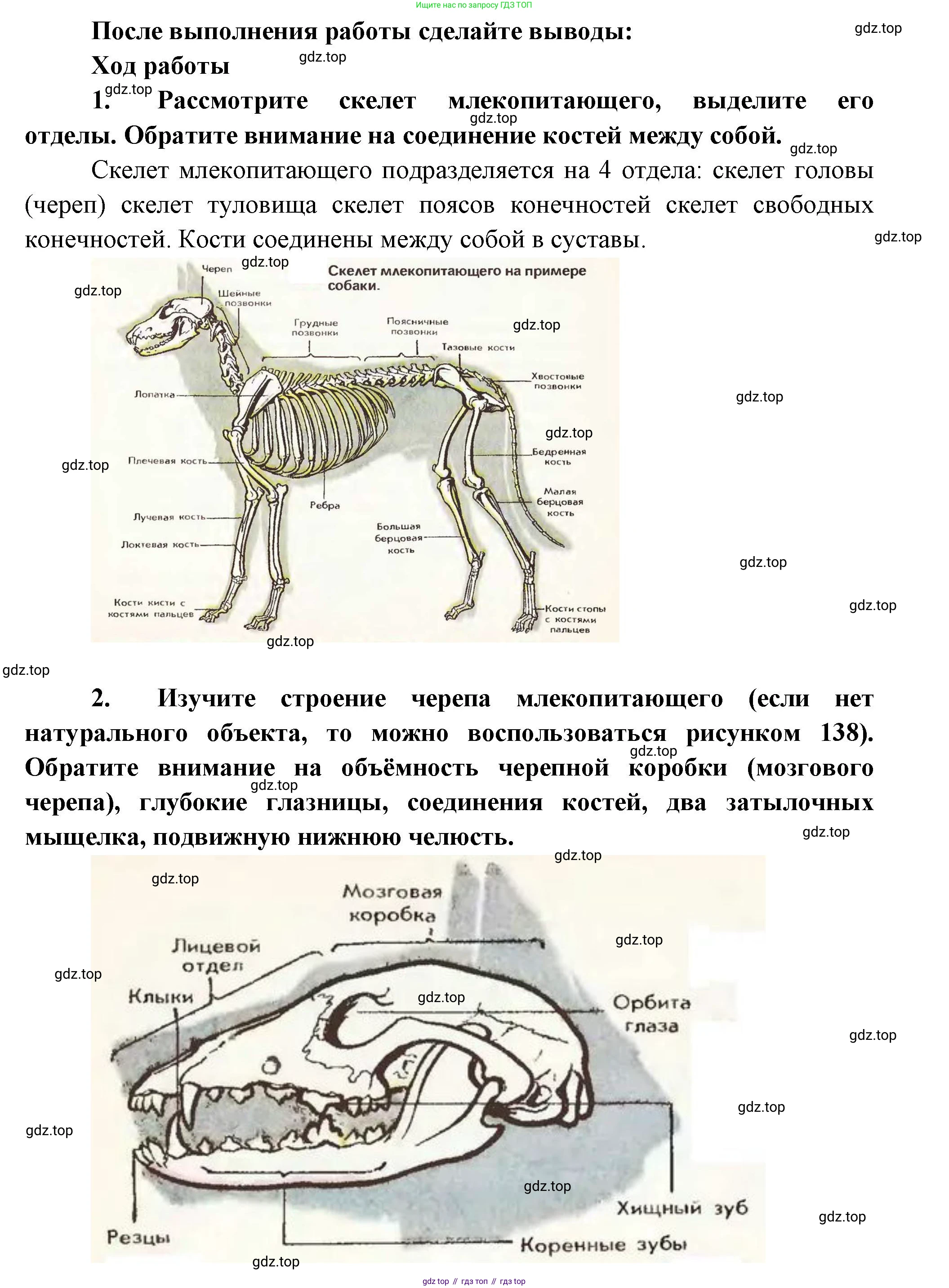 Биология, 8 класс рабочая тетрадь, авторы: Суматохин Сергей Витальевич, Пасечник Владимир Васильевич, Гапонюк Зоя Георгиевна, издательство Просвещение, Москва, 2023, оранжевого цвета, страница 124, номер 5, Решение (продолжение 2)