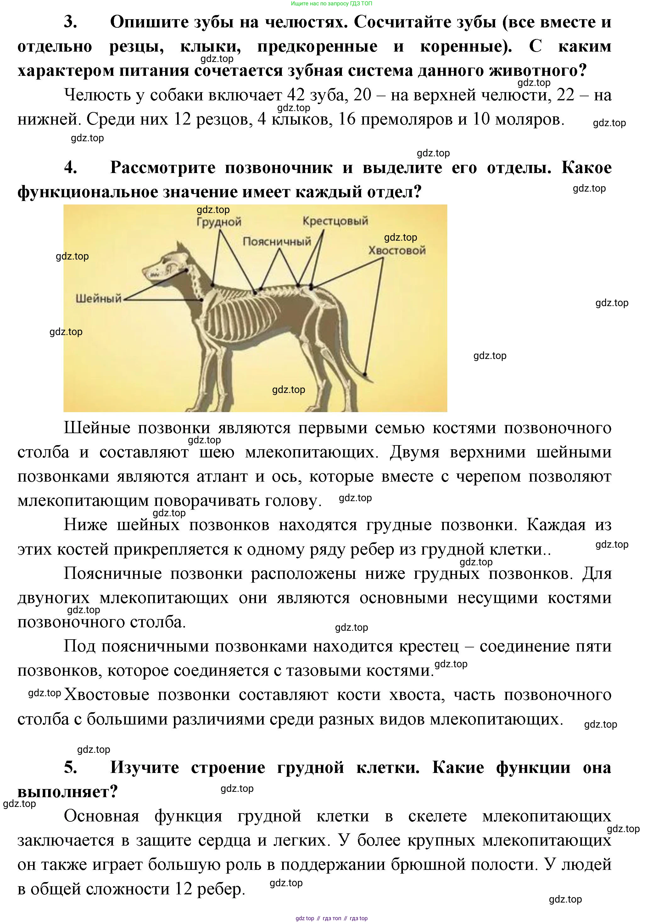 Биология, 8 класс рабочая тетрадь, авторы: Суматохин Сергей Витальевич, Пасечник Владимир Васильевич, Гапонюк Зоя Георгиевна, издательство Просвещение, Москва, 2023, оранжевого цвета, страница 124, номер 5, Решение (продолжение 3)