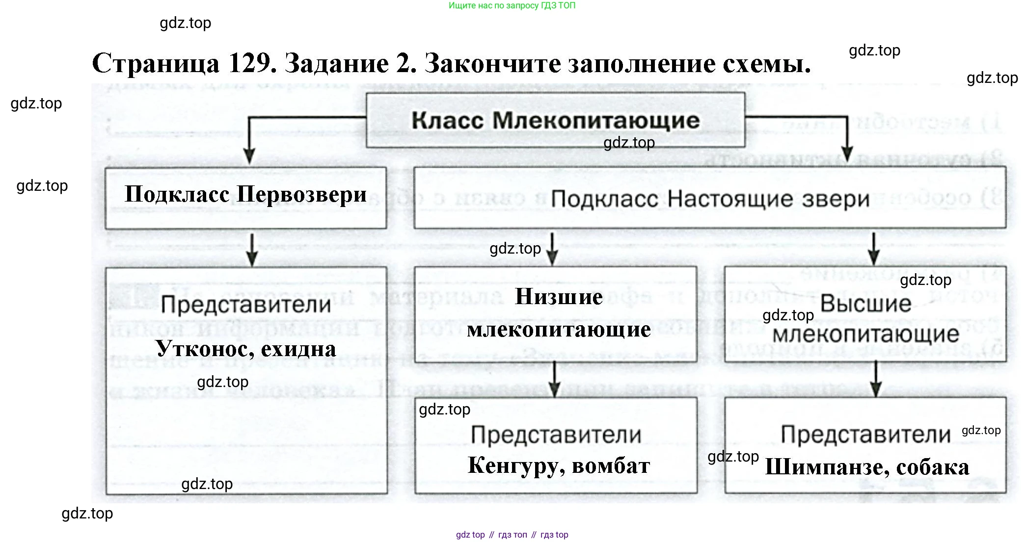 Биология, 8 класс рабочая тетрадь, авторы: Суматохин Сергей Витальевич, Пасечник Владимир Васильевич, Гапонюк Зоя Георгиевна, издательство Просвещение, Москва, 2023, оранжевого цвета, страница 129, номер 2, Решение