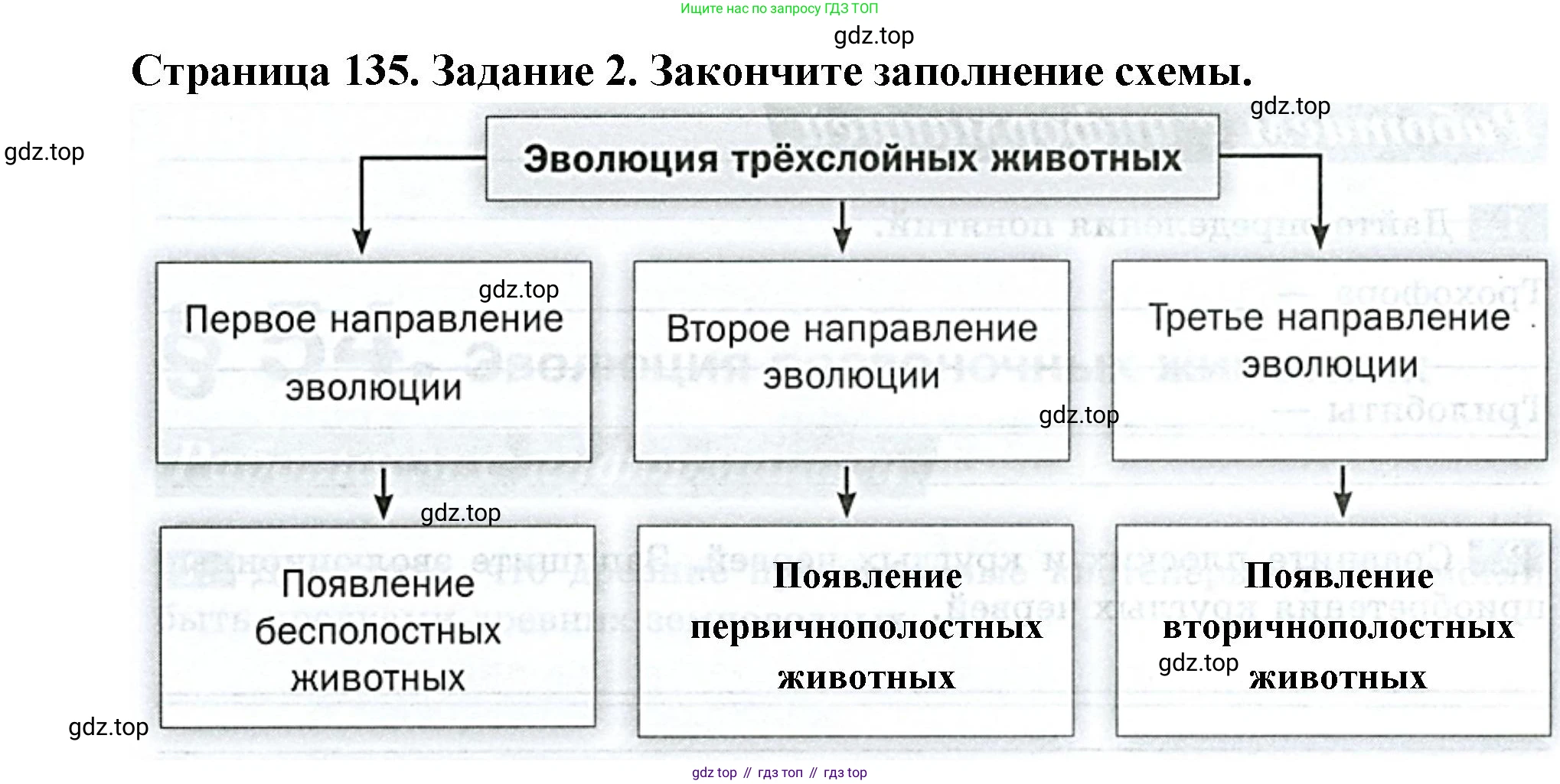 Биология, 8 класс рабочая тетрадь, авторы: Суматохин Сергей Витальевич, Пасечник Владимир Васильевич, Гапонюк Зоя Георгиевна, издательство Просвещение, Москва, 2023, оранжевого цвета, страница 135, номер 2, Решение