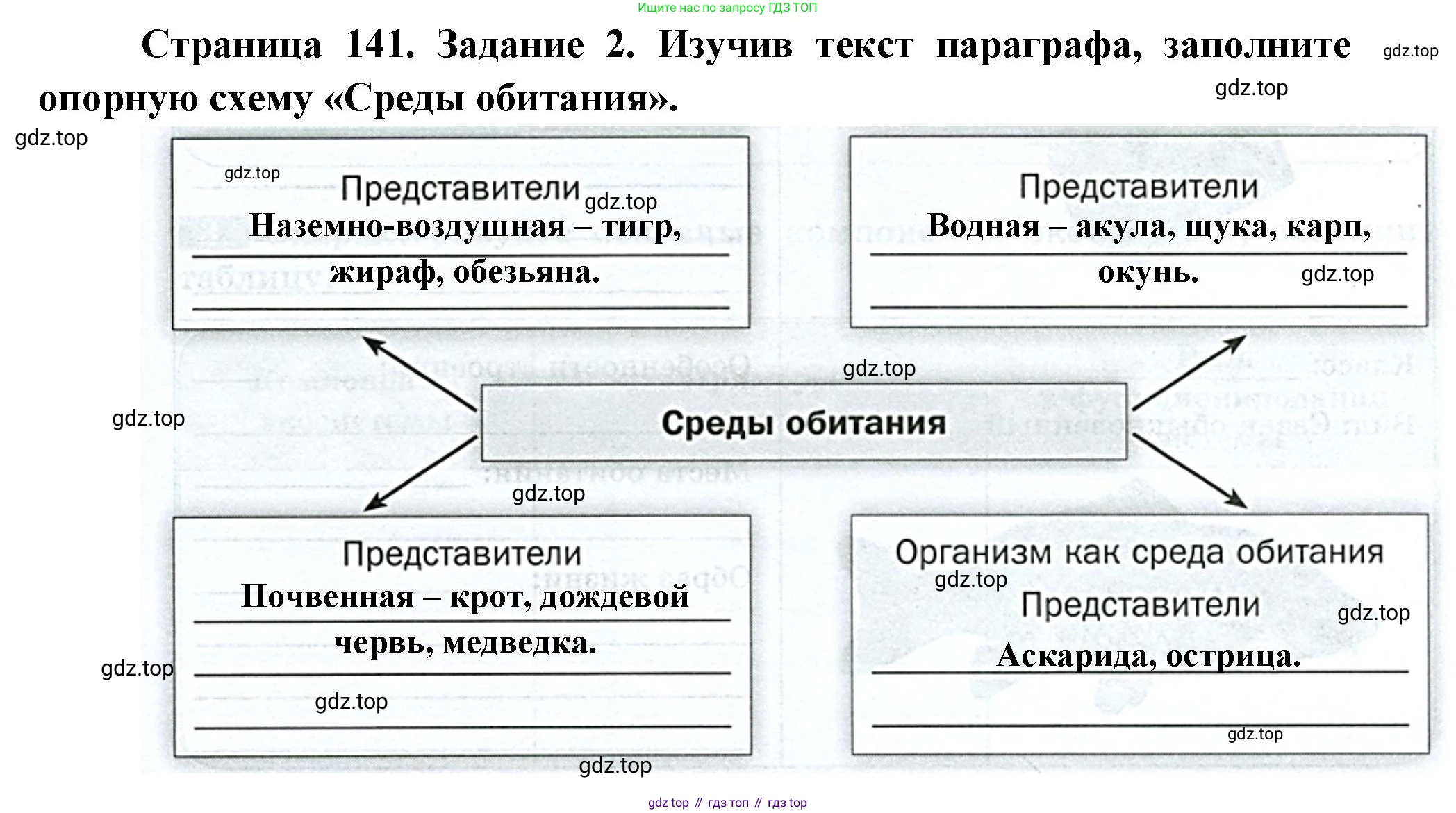 Биология, 8 класс рабочая тетрадь, авторы: Суматохин Сергей Витальевич, Пасечник Владимир Васильевич, Гапонюк Зоя Георгиевна, издательство Просвещение, Москва, 2023, оранжевого цвета, страница 141, номер 2, Решение