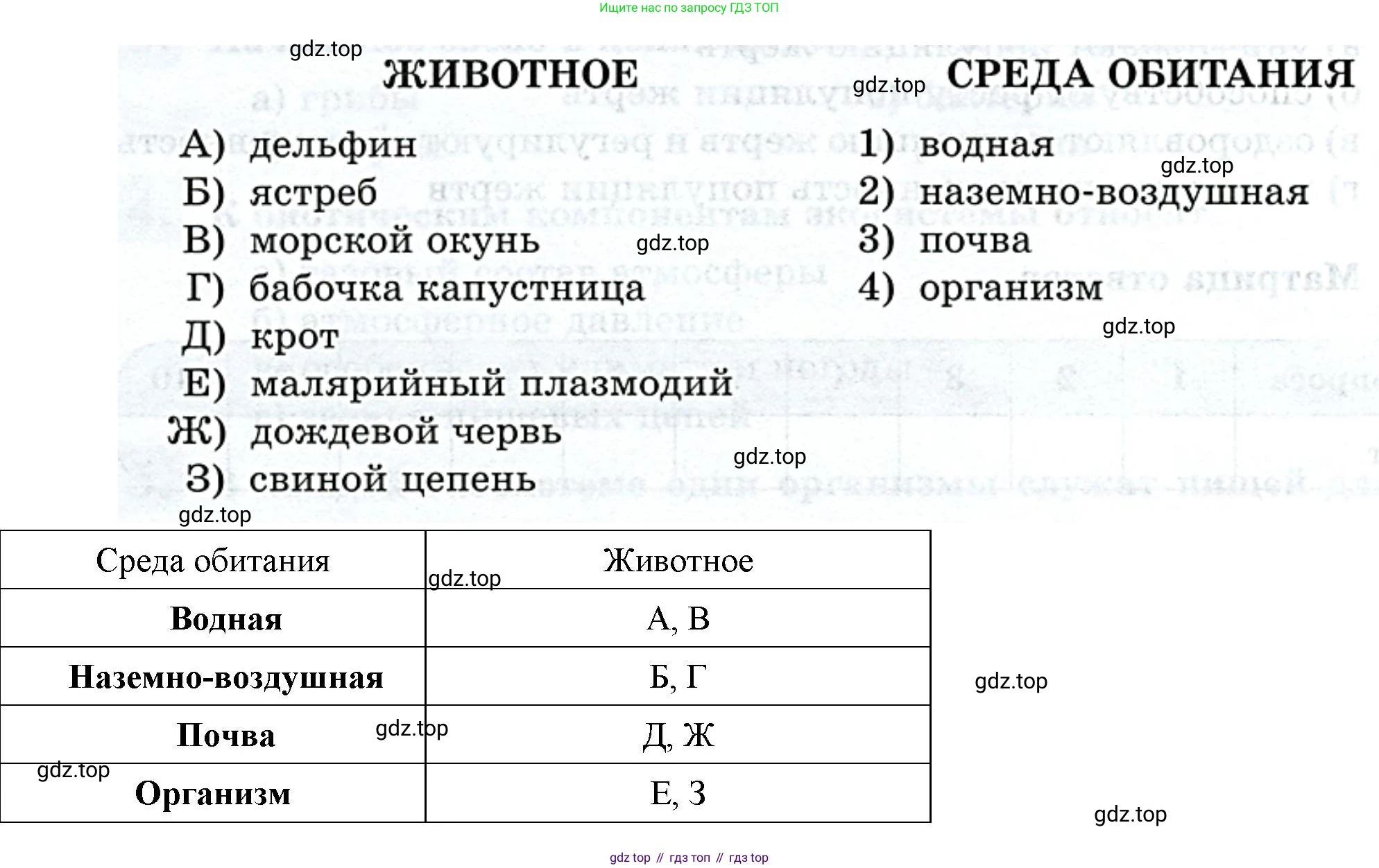 Биология, 8 класс рабочая тетрадь, авторы: Суматохин Сергей Витальевич, Пасечник Владимир Васильевич, Гапонюк Зоя Георгиевна, издательство Просвещение, Москва, 2023, оранжевого цвета, страница 148, номер 1, Решение (продолжение 2)