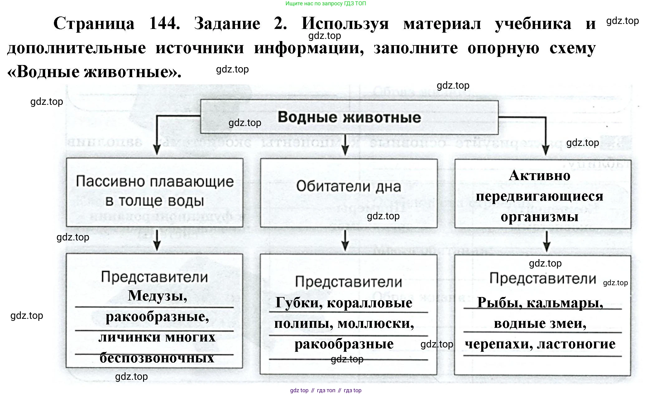 Биология, 8 класс рабочая тетрадь, авторы: Суматохин Сергей Витальевич, Пасечник Владимир Васильевич, Гапонюк Зоя Георгиевна, издательство Просвещение, Москва, 2023, оранжевого цвета, страница 144, номер 2, Решение