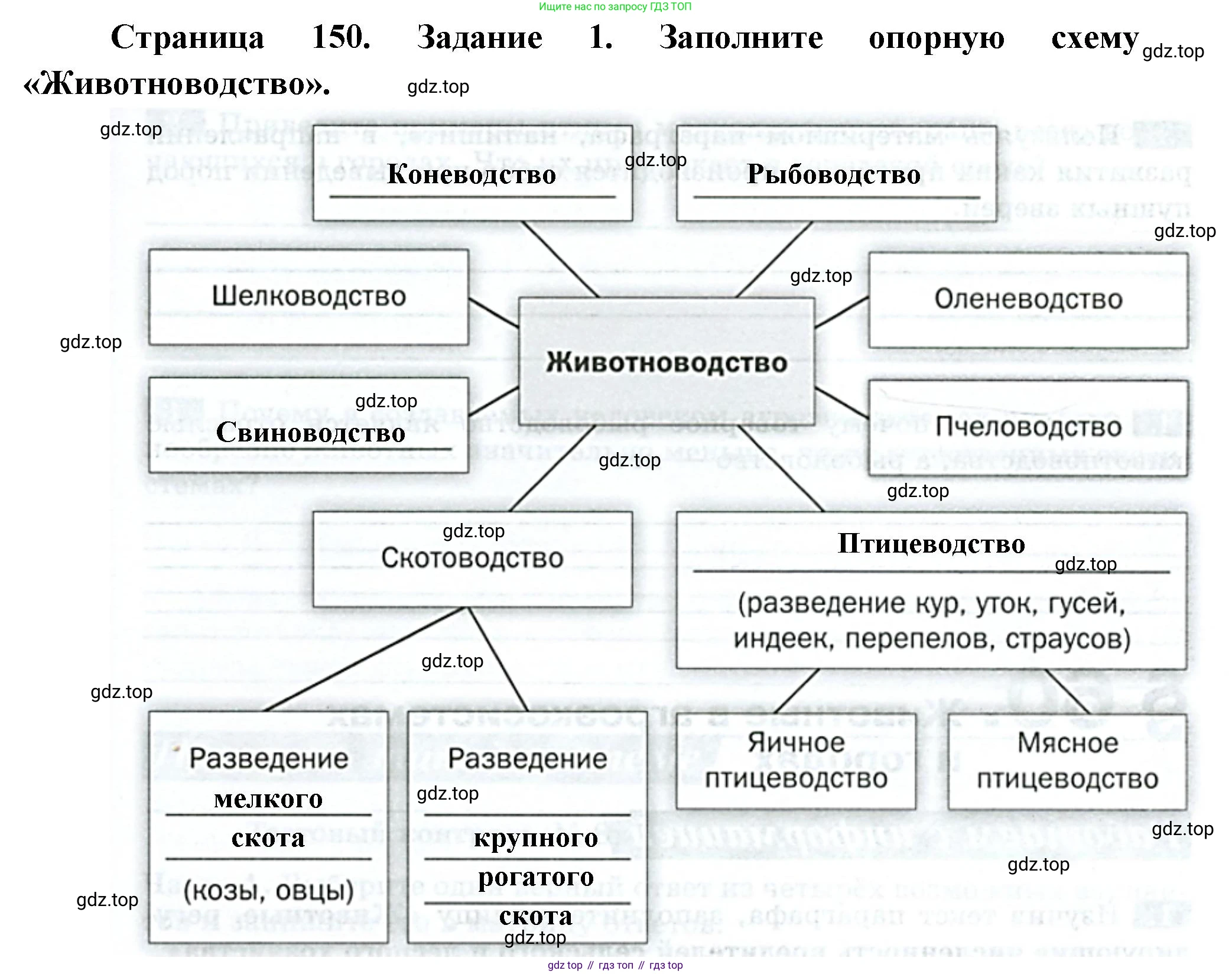 Биология, 8 класс рабочая тетрадь, авторы: Суматохин Сергей Витальевич, Пасечник Владимир Васильевич, Гапонюк Зоя Георгиевна, издательство Просвещение, Москва, 2023, оранжевого цвета, страница 150, номер 1, Решение