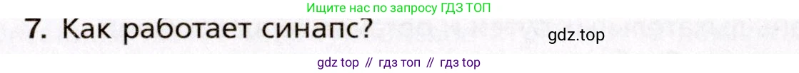 Биология, 8 класс Учебник, авторы: Драгомилов Александр Григорьевич, Маш Реми Давидович, издательство Просвещение, Москва, 2019, оранжевого цвета, страница 31, номер 7, Условие
