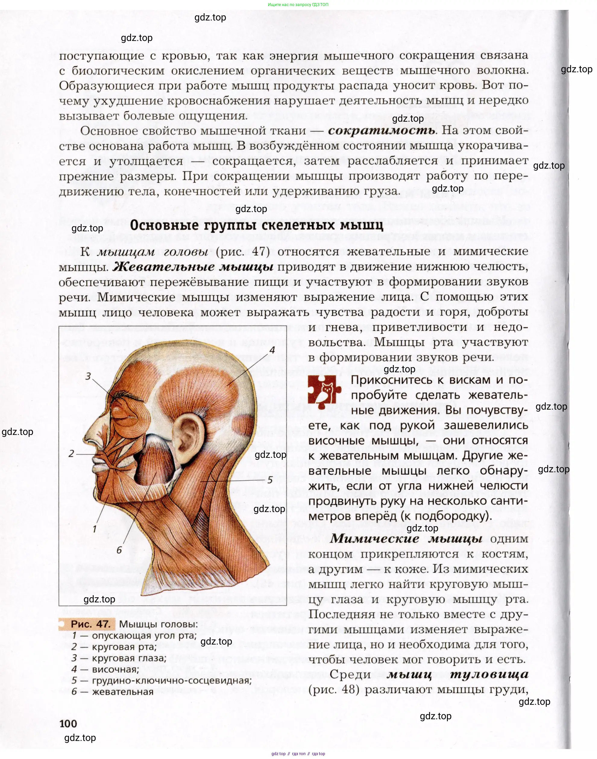 Биология, 8 класс Учебник, авторы: Драгомилов Александр Григорьевич, Маш Реми Давидович, издательство Просвещение, Москва, 2019, оранжевого цвета, страница 100