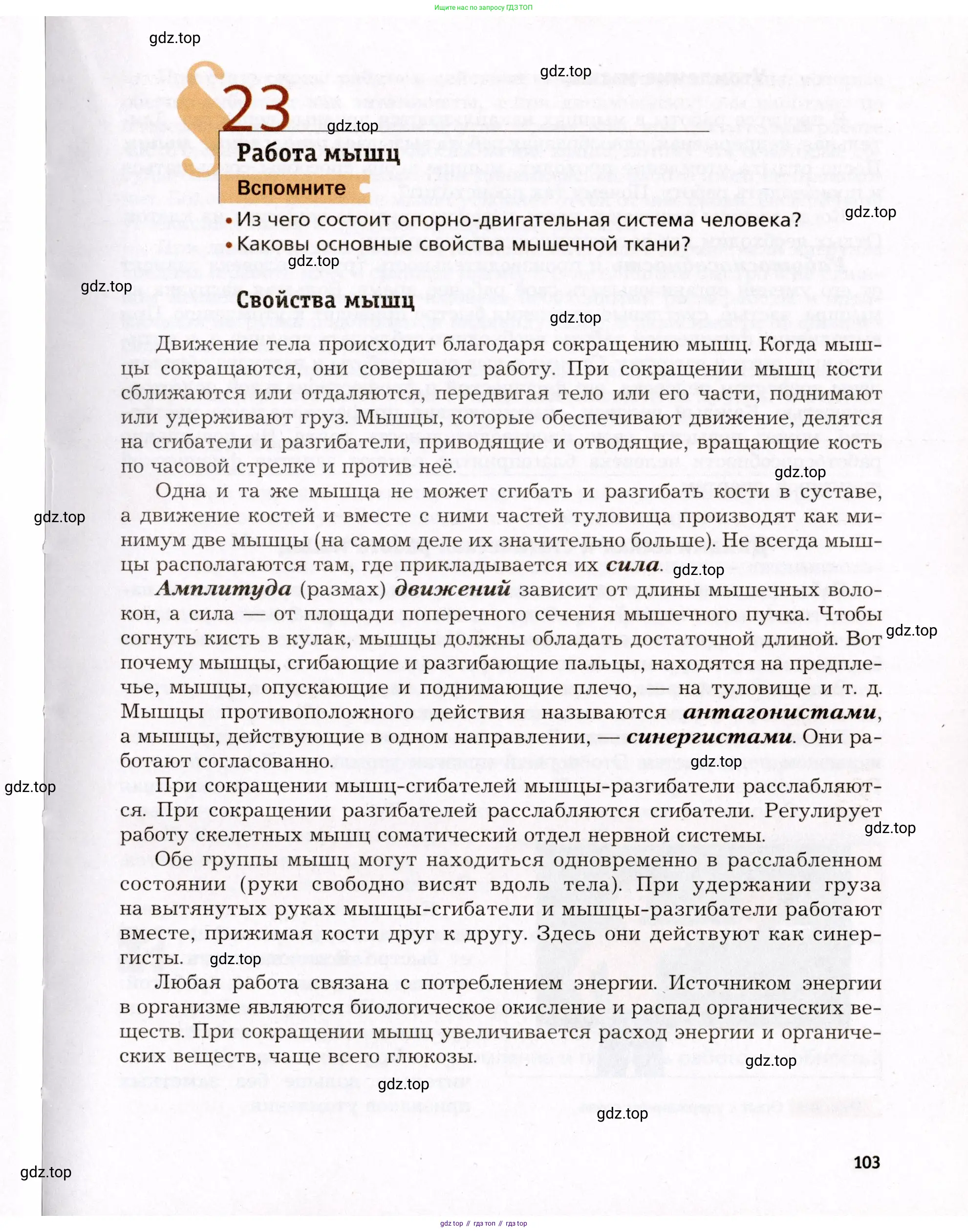Биология, 8 класс Учебник, авторы: Драгомилов Александр Григорьевич, Маш Реми Давидович, издательство Просвещение, Москва, 2019, оранжевого цвета, страница 103
