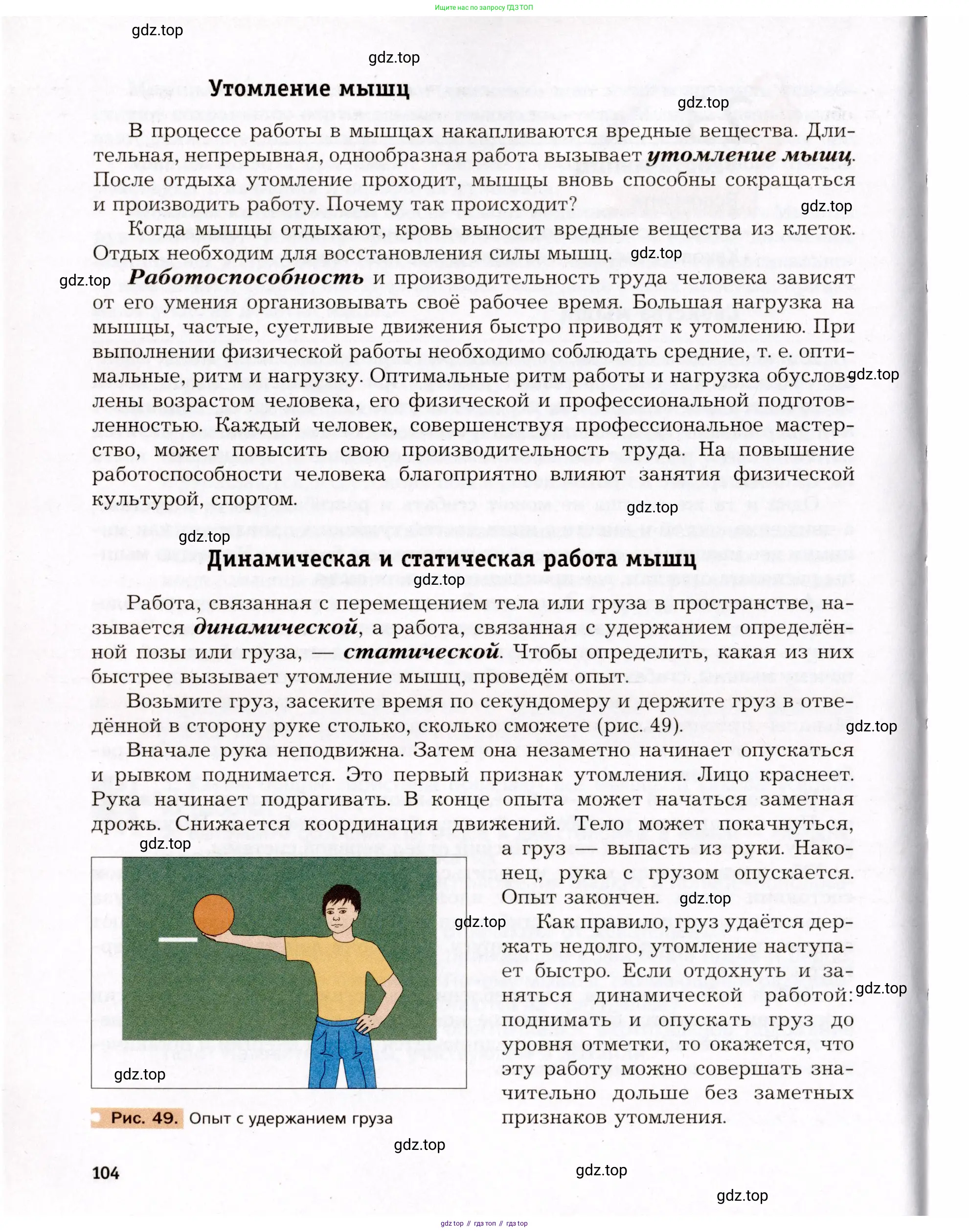Биология, 8 класс Учебник, авторы: Драгомилов Александр Григорьевич, Маш Реми Давидович, издательство Просвещение, Москва, 2019, оранжевого цвета, страница 104
