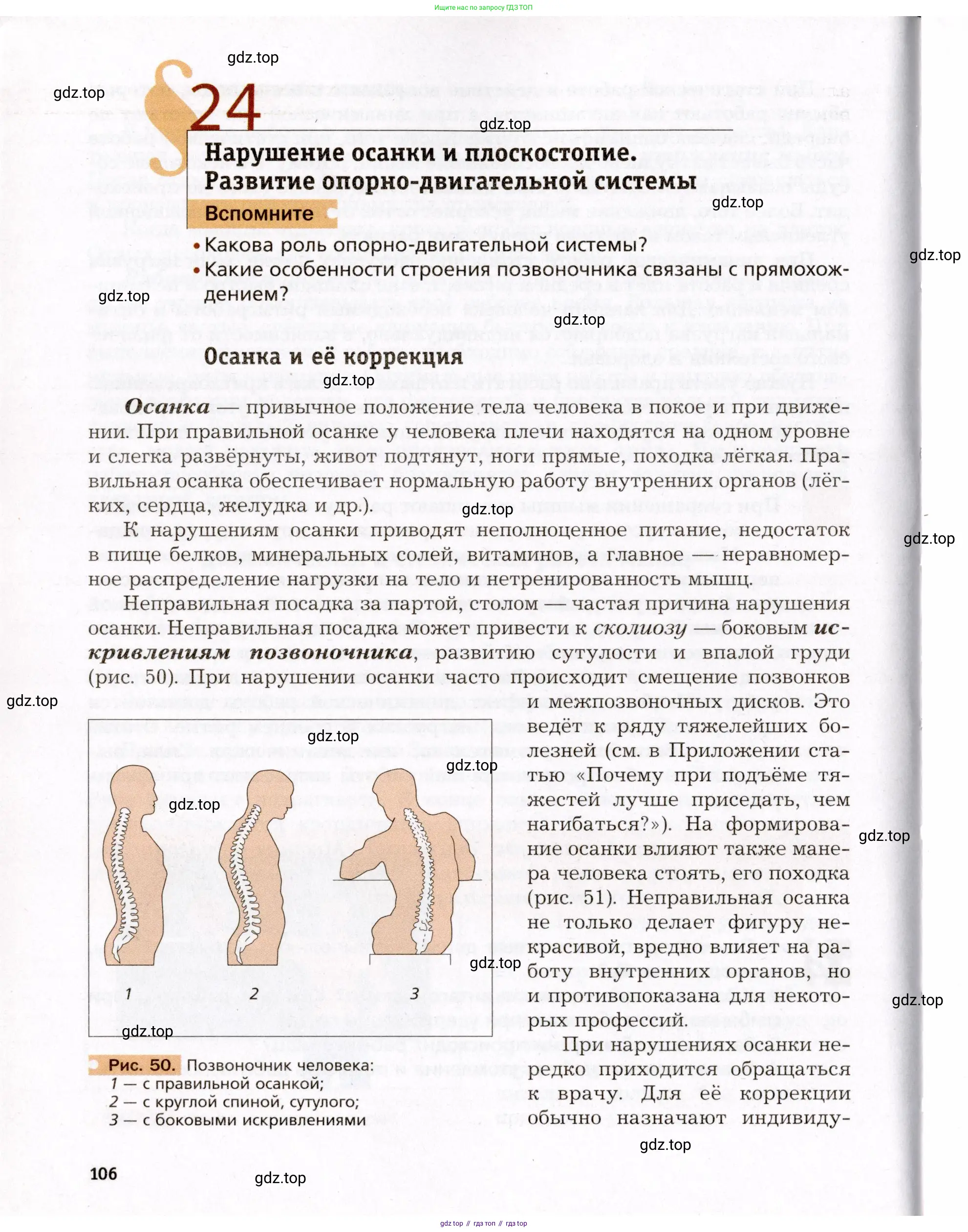 Биология, 8 класс Учебник, авторы: Драгомилов Александр Григорьевич, Маш Реми Давидович, издательство Просвещение, Москва, 2019, оранжевого цвета, страница 106