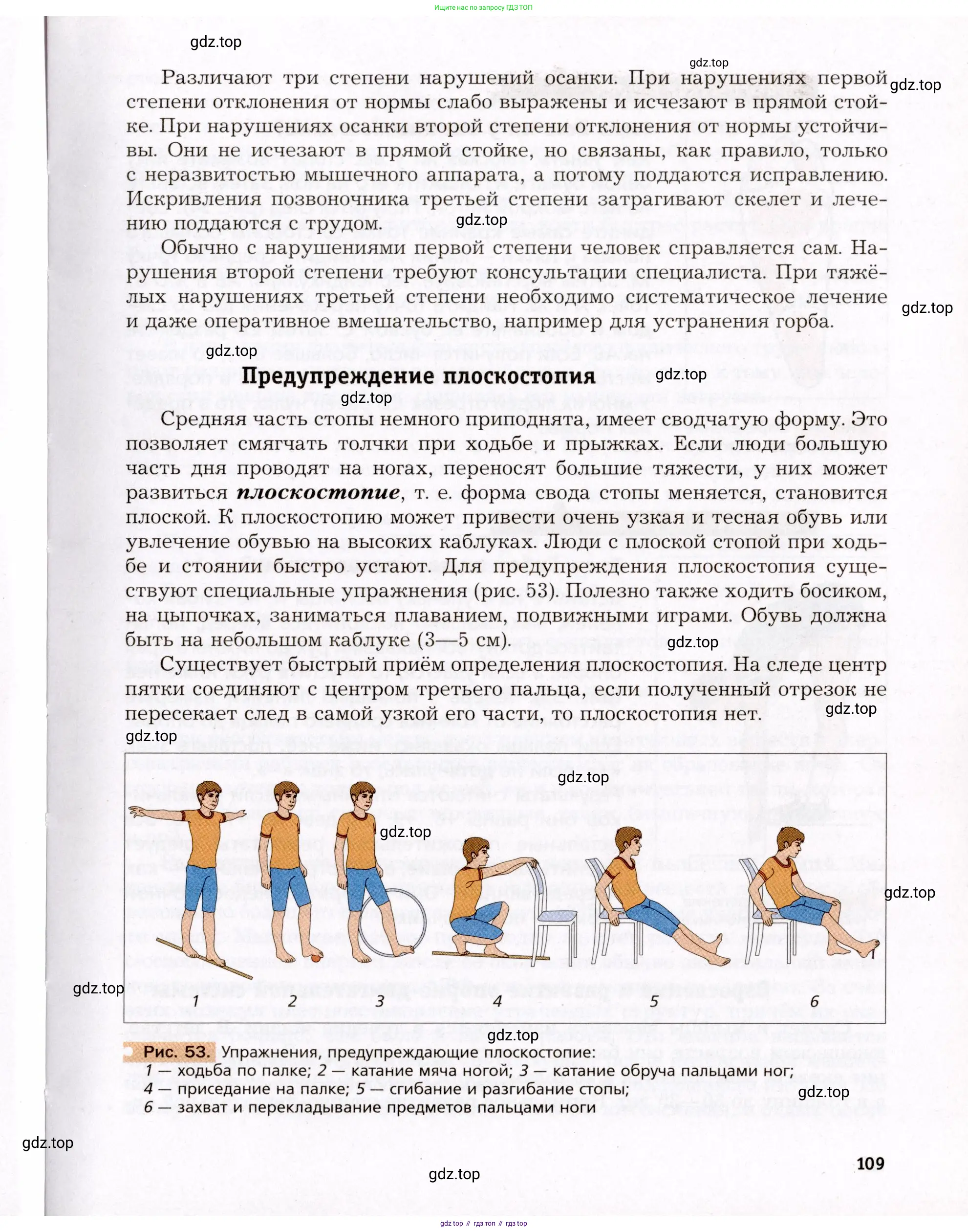 Биология, 8 класс Учебник, авторы: Драгомилов Александр Григорьевич, Маш Реми Давидович, издательство Просвещение, Москва, 2019, оранжевого цвета, страница 109