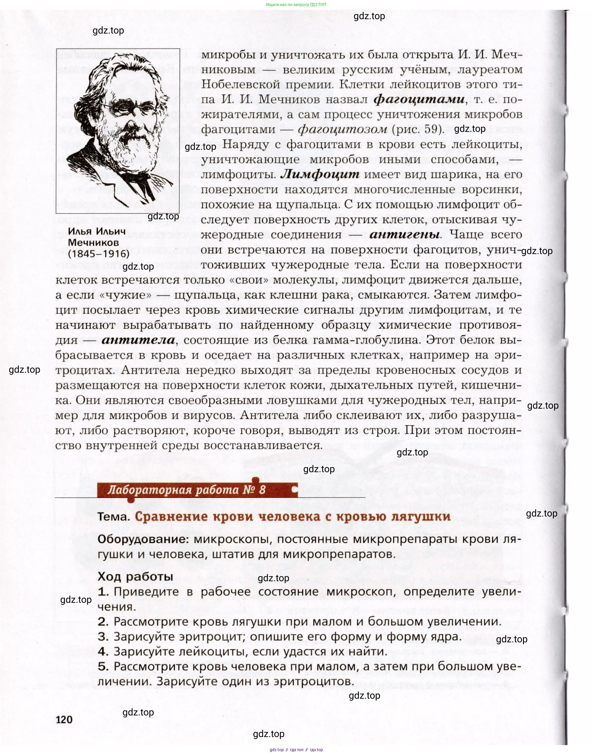 Биология, 8 класс Учебник, авторы: Драгомилов Александр Григорьевич, Маш Реми Давидович, издательство Просвещение, Москва, 2019, оранжевого цвета, страница 120