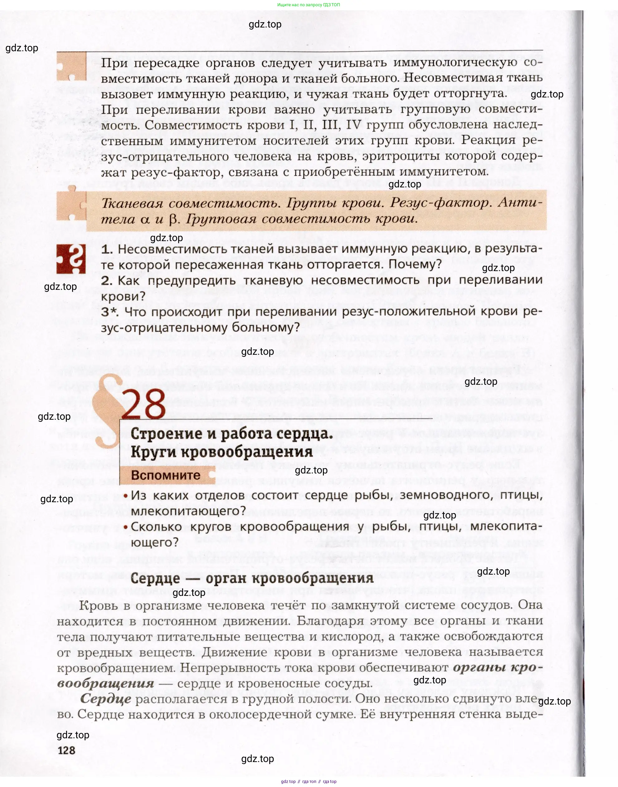 Биология, 8 класс Учебник, авторы: Драгомилов Александр Григорьевич, Маш Реми Давидович, издательство Просвещение, Москва, 2019, оранжевого цвета, страница 128