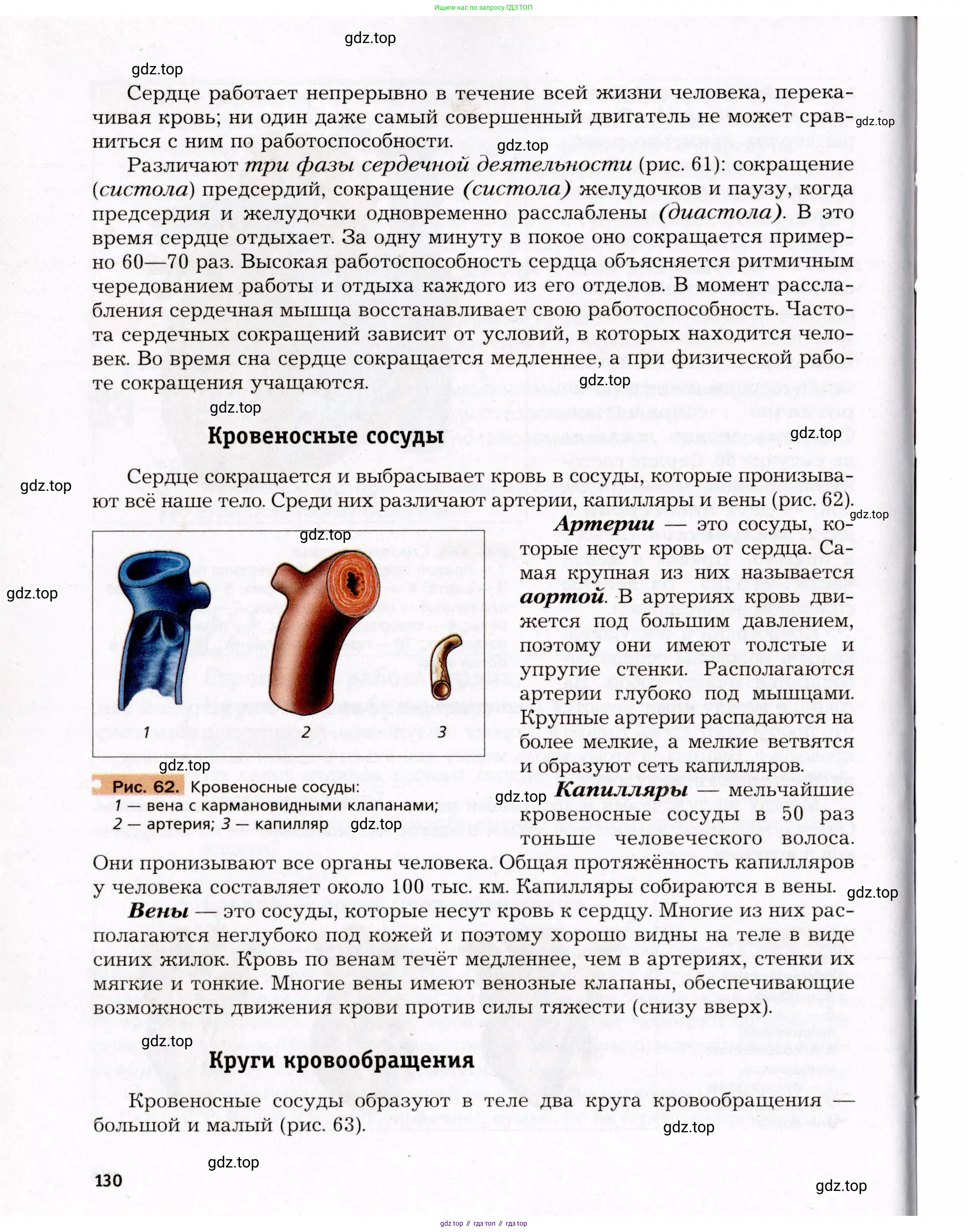 Биология, 8 класс Учебник, авторы: Драгомилов Александр Григорьевич, Маш Реми Давидович, издательство Просвещение, Москва, 2019, оранжевого цвета, страница 130
