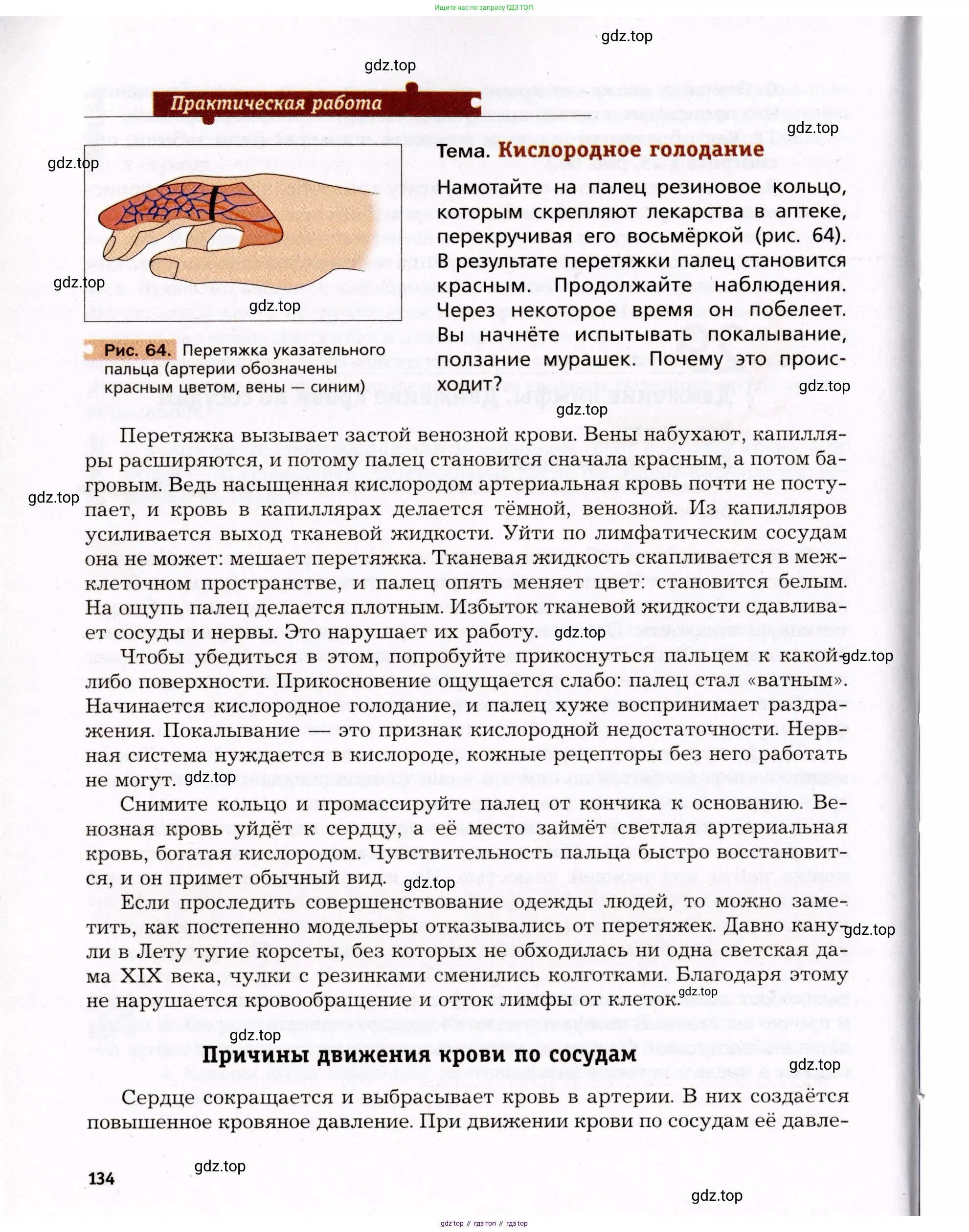 Биология, 8 класс Учебник, авторы: Драгомилов Александр Григорьевич, Маш Реми Давидович, издательство Просвещение, Москва, 2019, оранжевого цвета, страница 134