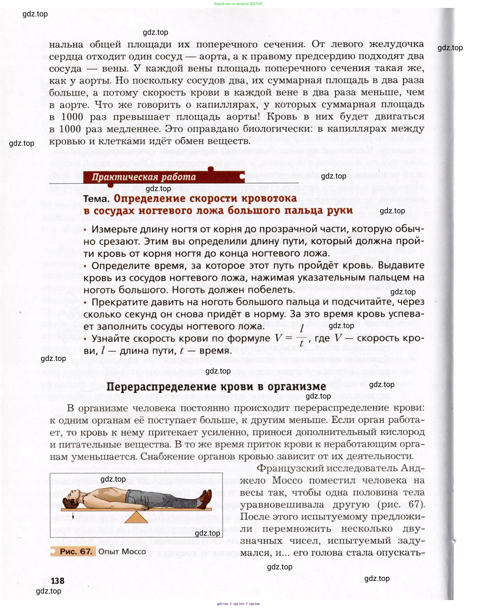 Биология, 8 класс Учебник, авторы: Драгомилов Александр Григорьевич, Маш Реми Давидович, издательство Просвещение, Москва, 2019, оранжевого цвета, страница 138