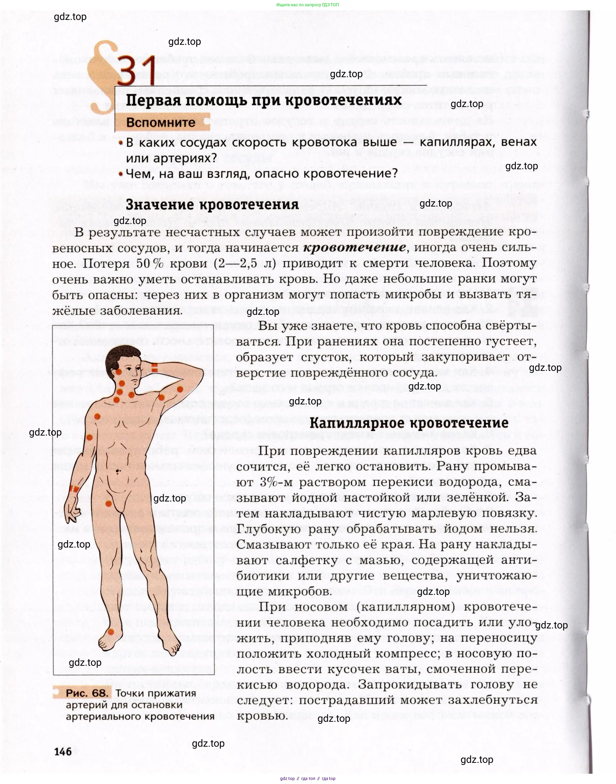 Биология, 8 класс Учебник, авторы: Драгомилов Александр Григорьевич, Маш Реми Давидович, издательство Просвещение, Москва, 2019, оранжевого цвета, страница 146