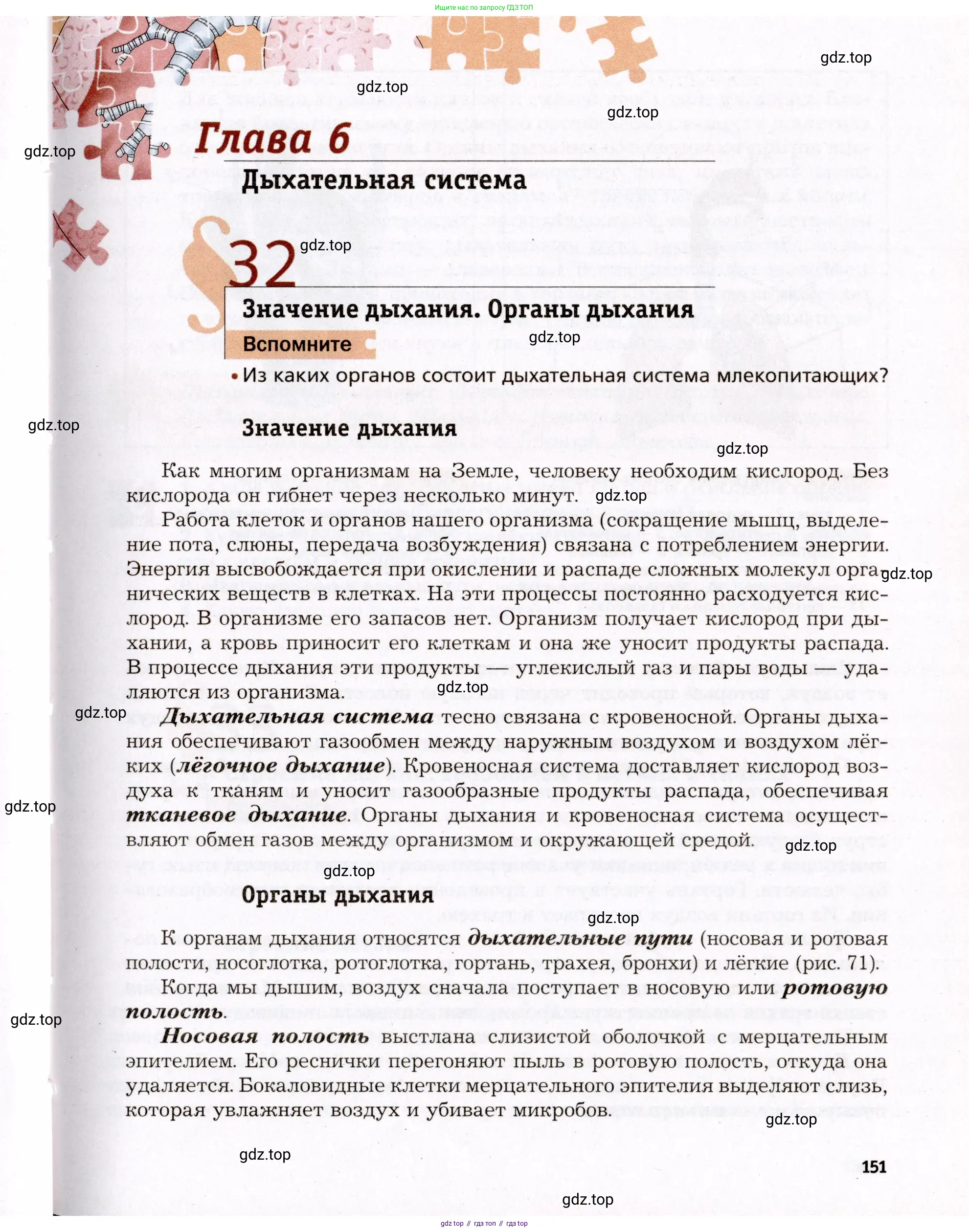 Биология, 8 класс Учебник, авторы: Драгомилов Александр Григорьевич, Маш Реми Давидович, издательство Просвещение, Москва, 2019, оранжевого цвета, страница 151