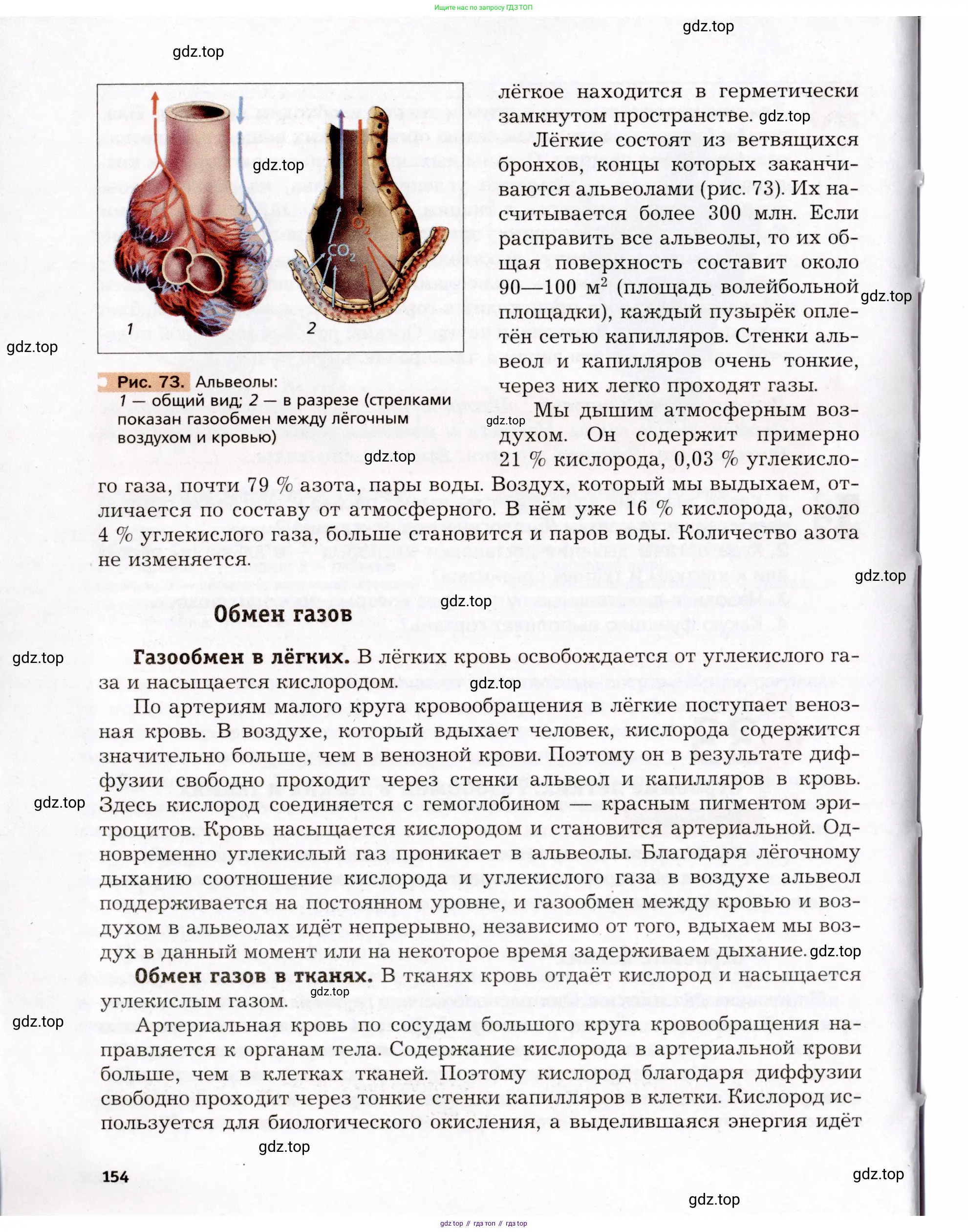 Биология, 8 класс Учебник, авторы: Драгомилов Александр Григорьевич, Маш Реми Давидович, издательство Просвещение, Москва, 2019, оранжевого цвета, страница 154