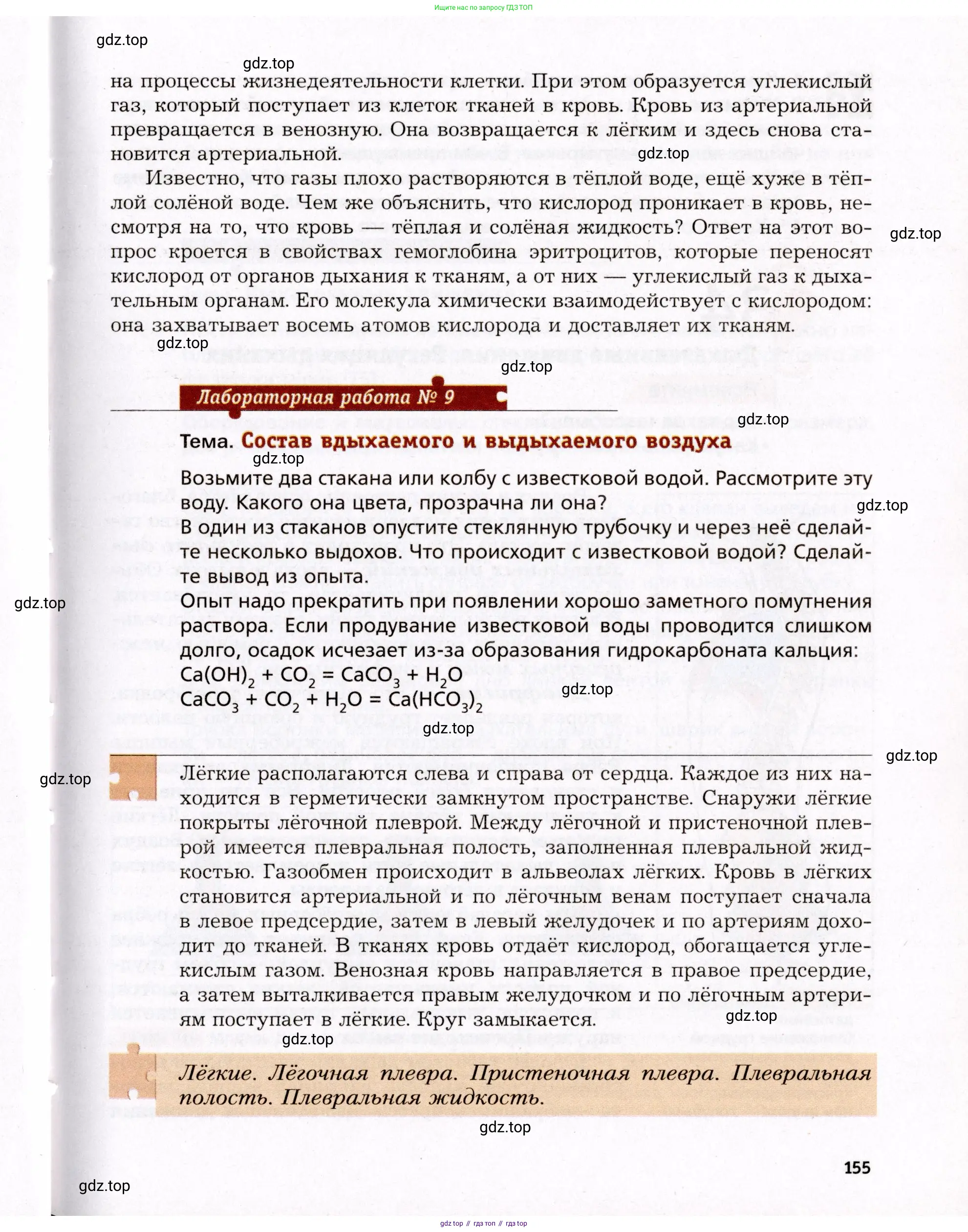 Биология, 8 класс Учебник, авторы: Драгомилов Александр Григорьевич, Маш Реми Давидович, издательство Просвещение, Москва, 2019, оранжевого цвета, страница 155