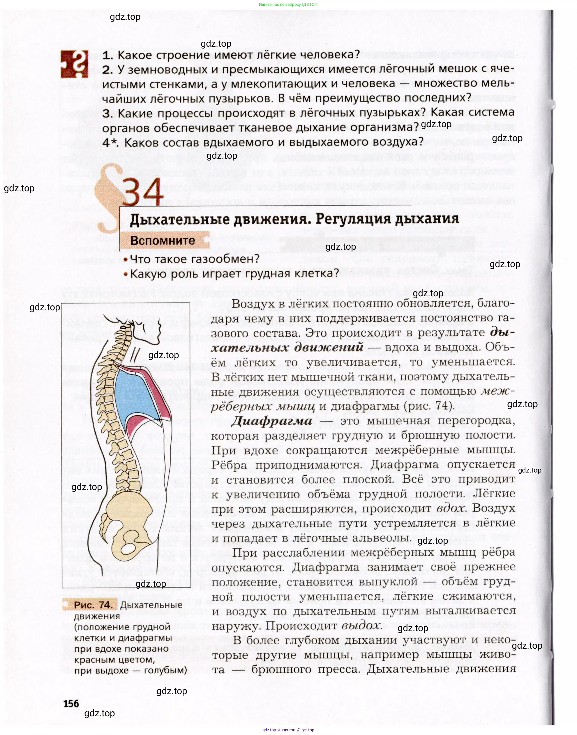 Биология, 8 класс Учебник, авторы: Драгомилов Александр Григорьевич, Маш Реми Давидович, издательство Просвещение, Москва, 2019, оранжевого цвета, страница 156
