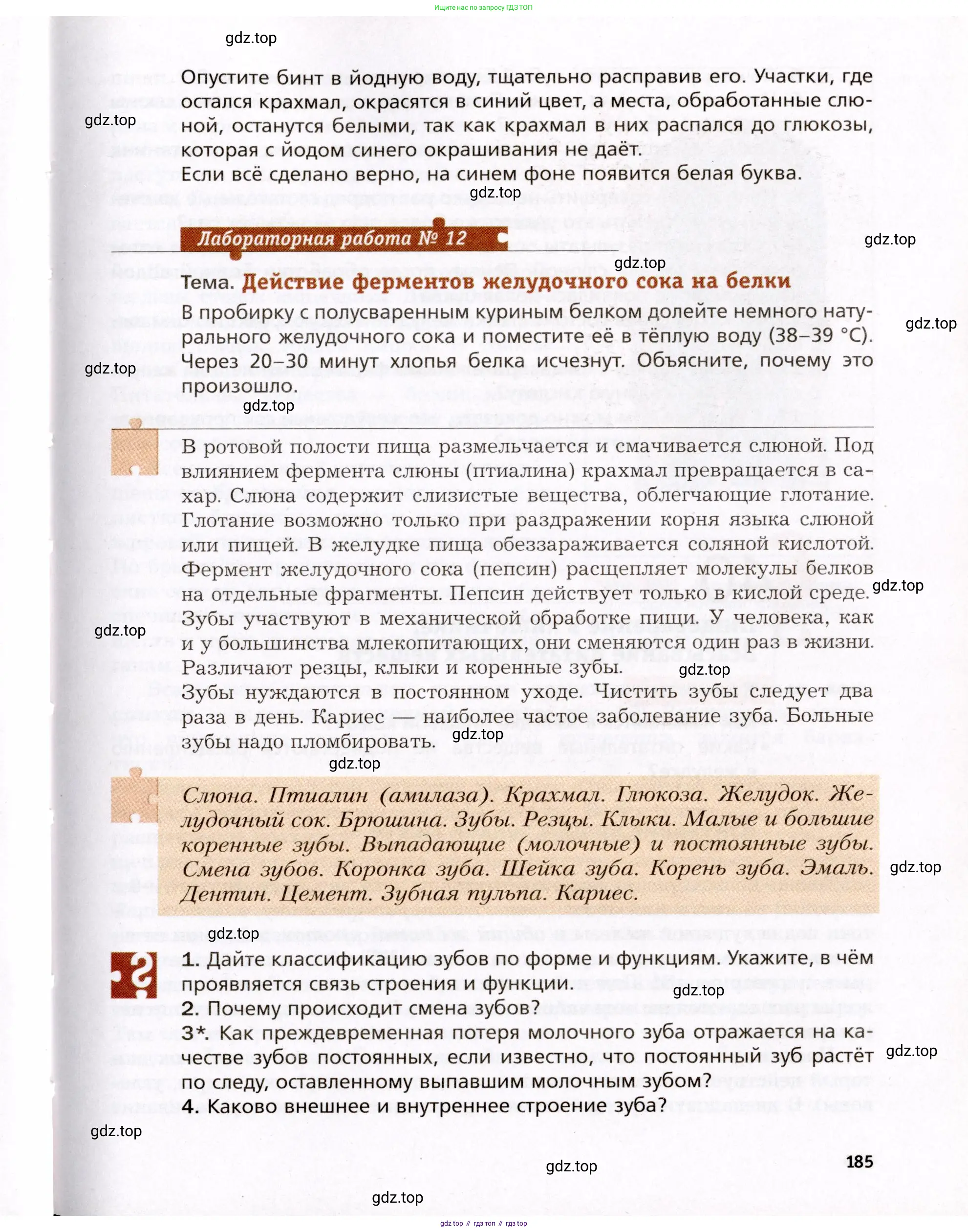 Биология, 8 класс Учебник, авторы: Драгомилов Александр Григорьевич, Маш Реми Давидович, издательство Просвещение, Москва, 2019, оранжевого цвета, страница 185