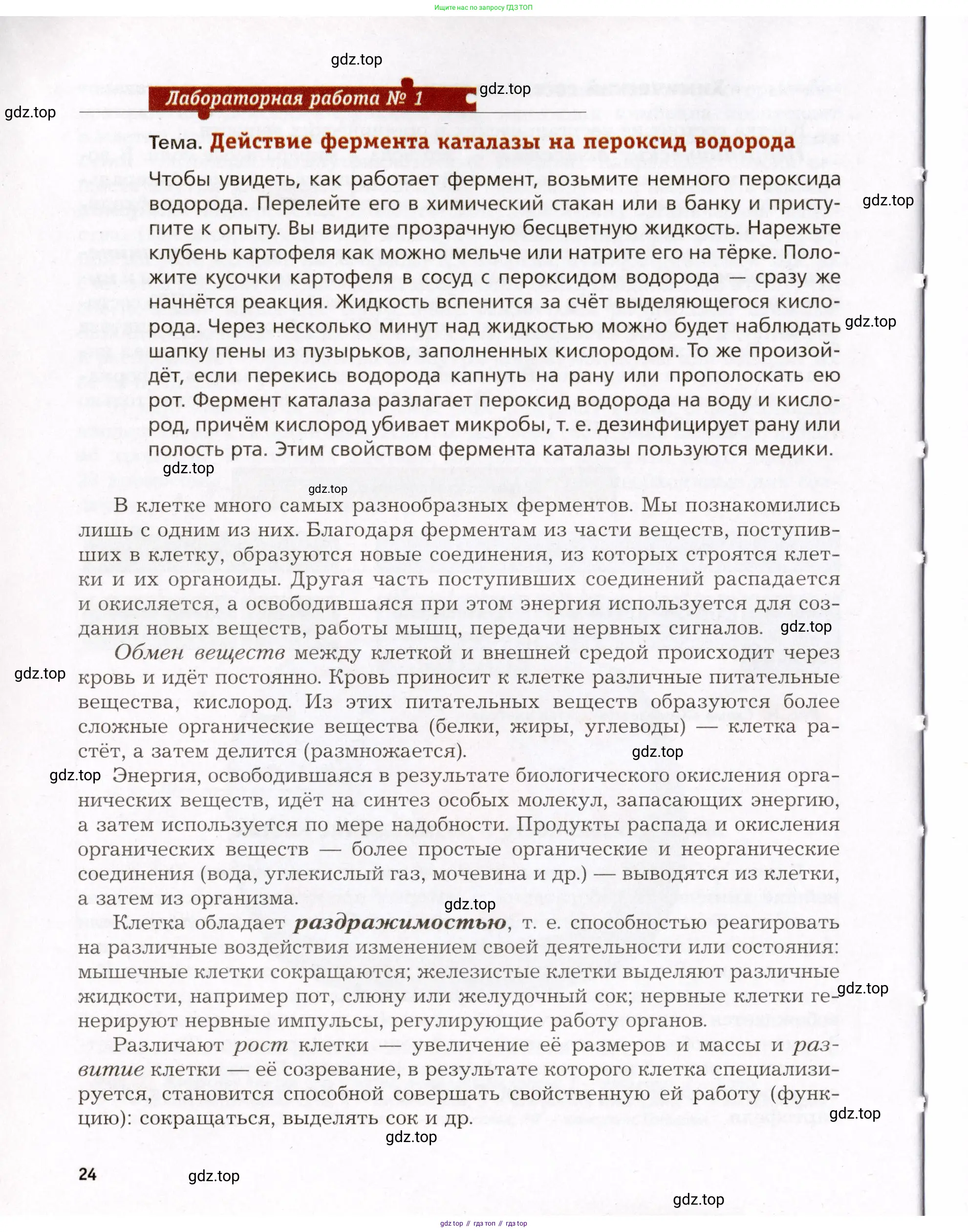 Биология, 8 класс Учебник, авторы: Драгомилов Александр Григорьевич, Маш Реми Давидович, издательство Просвещение, Москва, 2019, оранжевого цвета, страница 24