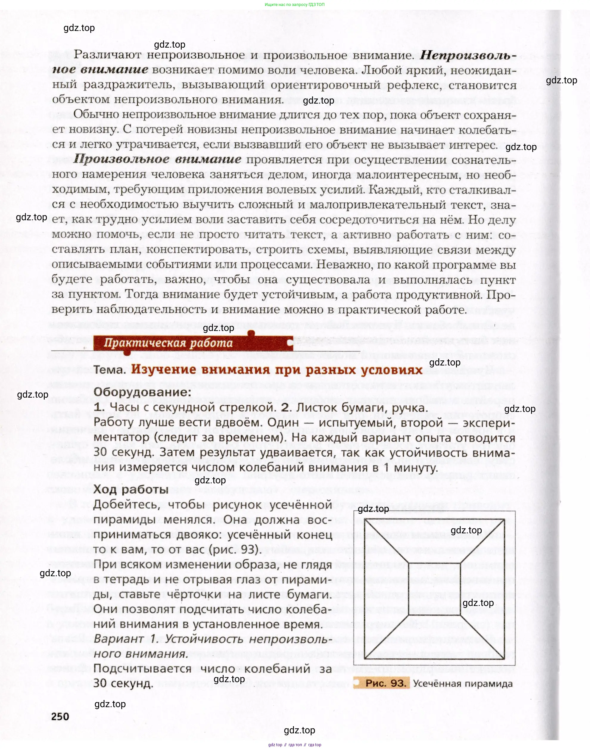 Биология, 8 класс Учебник, авторы: Драгомилов Александр Григорьевич, Маш Реми Давидович, издательство Просвещение, Москва, 2019, оранжевого цвета, страница 250