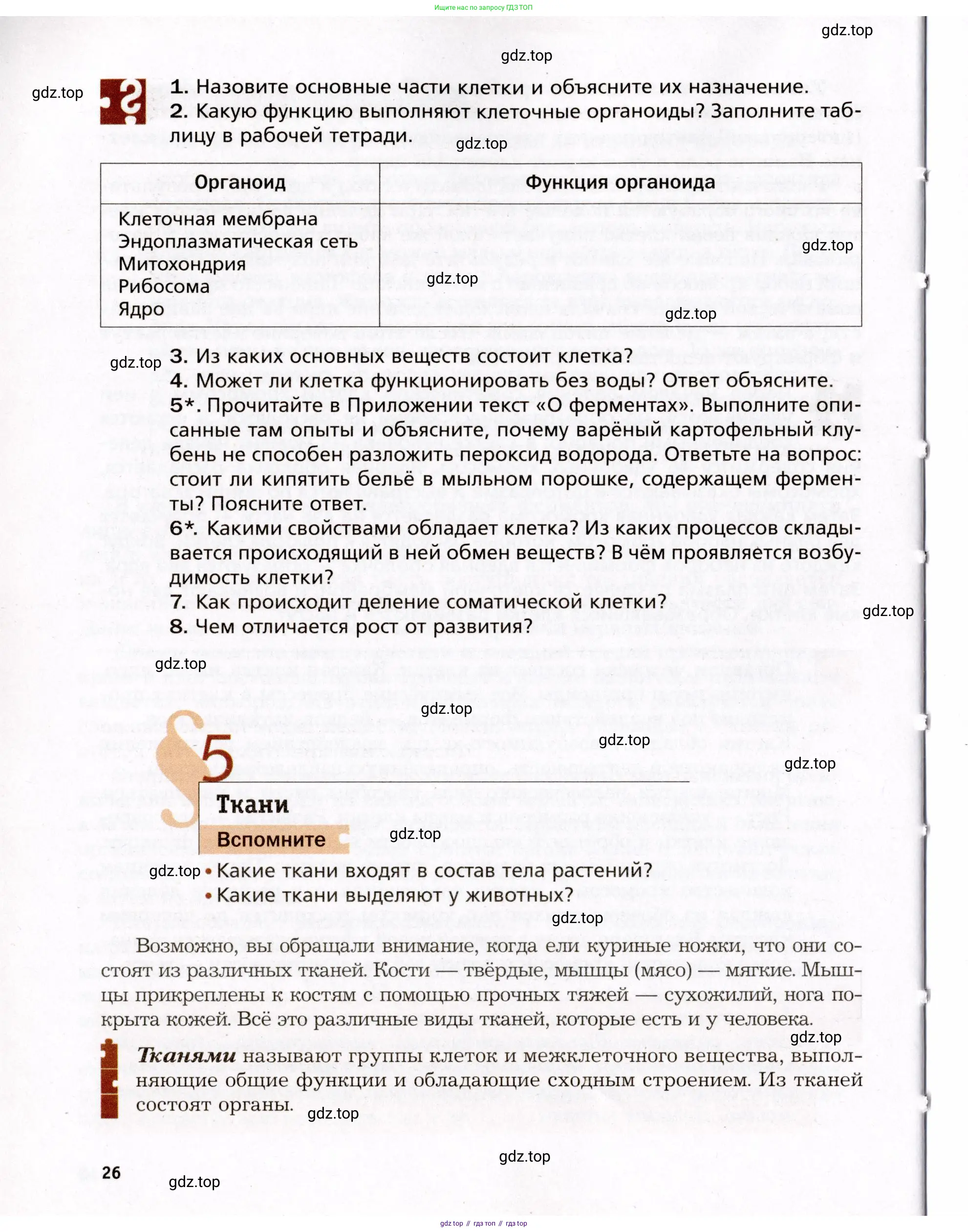 Биология, 8 класс Учебник, авторы: Драгомилов Александр Григорьевич, Маш Реми Давидович, издательство Просвещение, Москва, 2019, оранжевого цвета, страница 26