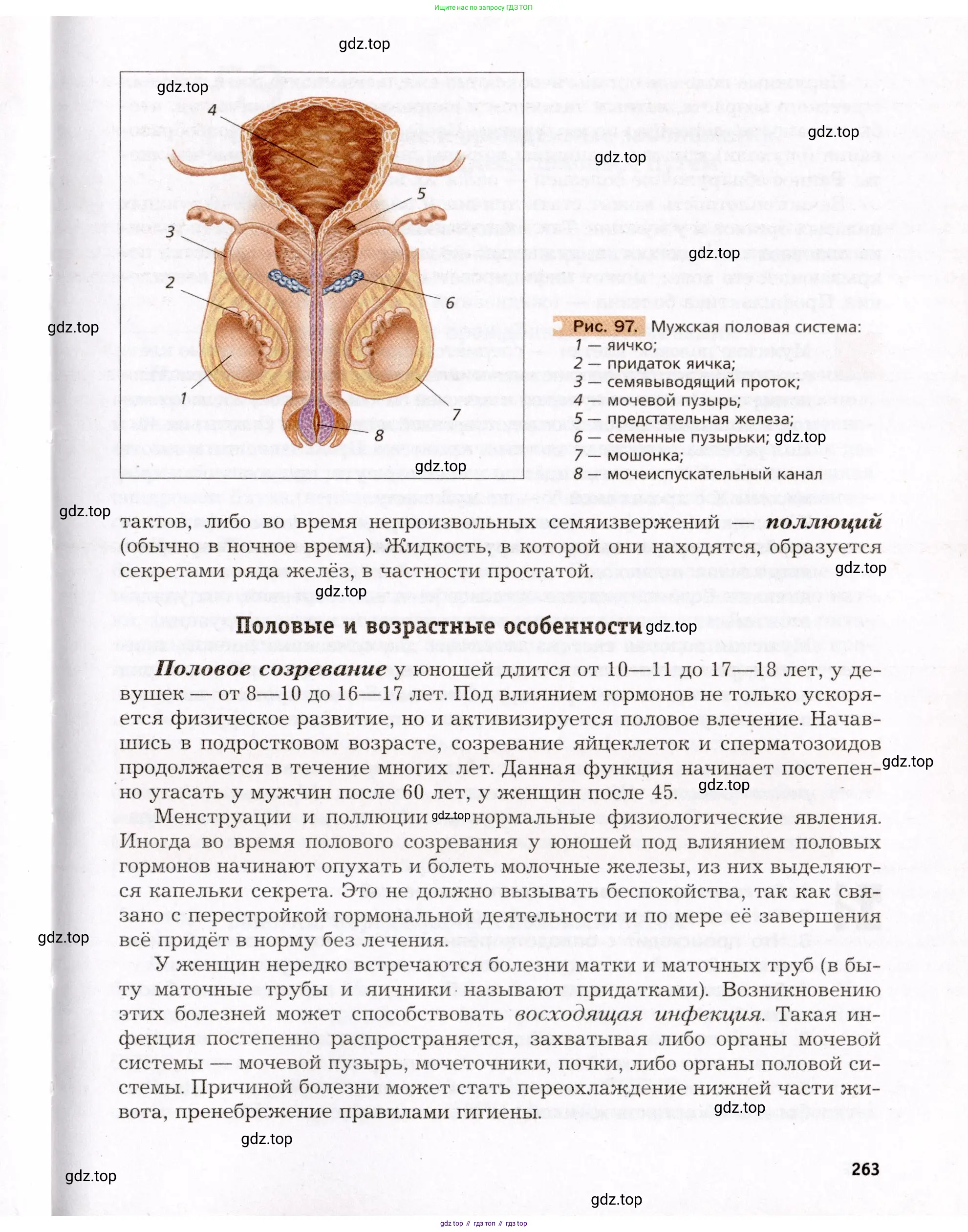 Биология, 8 класс Учебник, авторы: Драгомилов Александр Григорьевич, Маш Реми Давидович, издательство Просвещение, Москва, 2019, оранжевого цвета, страница 263