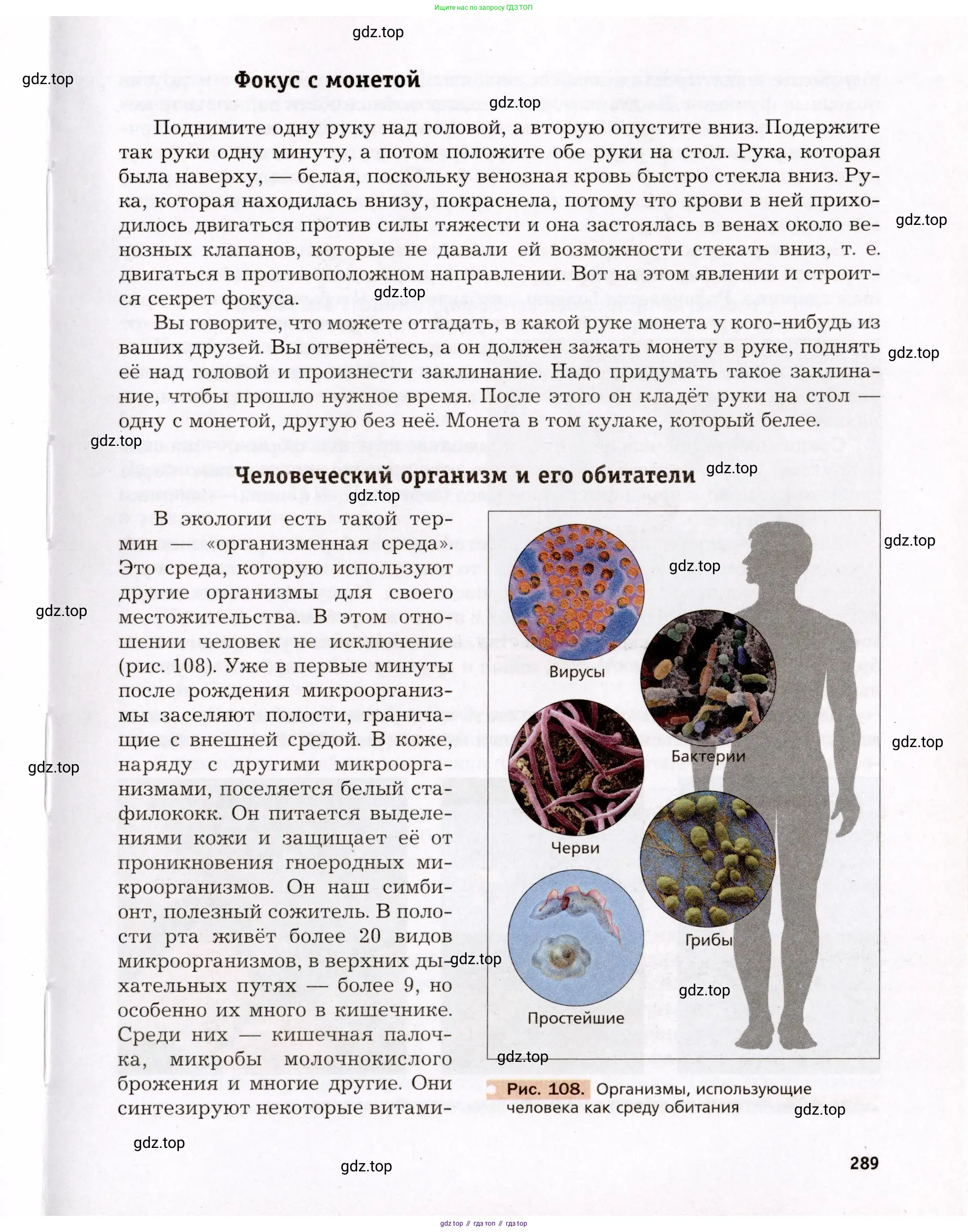 Биология, 8 класс Учебник, авторы: Драгомилов Александр Григорьевич, Маш Реми Давидович, издательство Просвещение, Москва, 2019, оранжевого цвета, страница 289