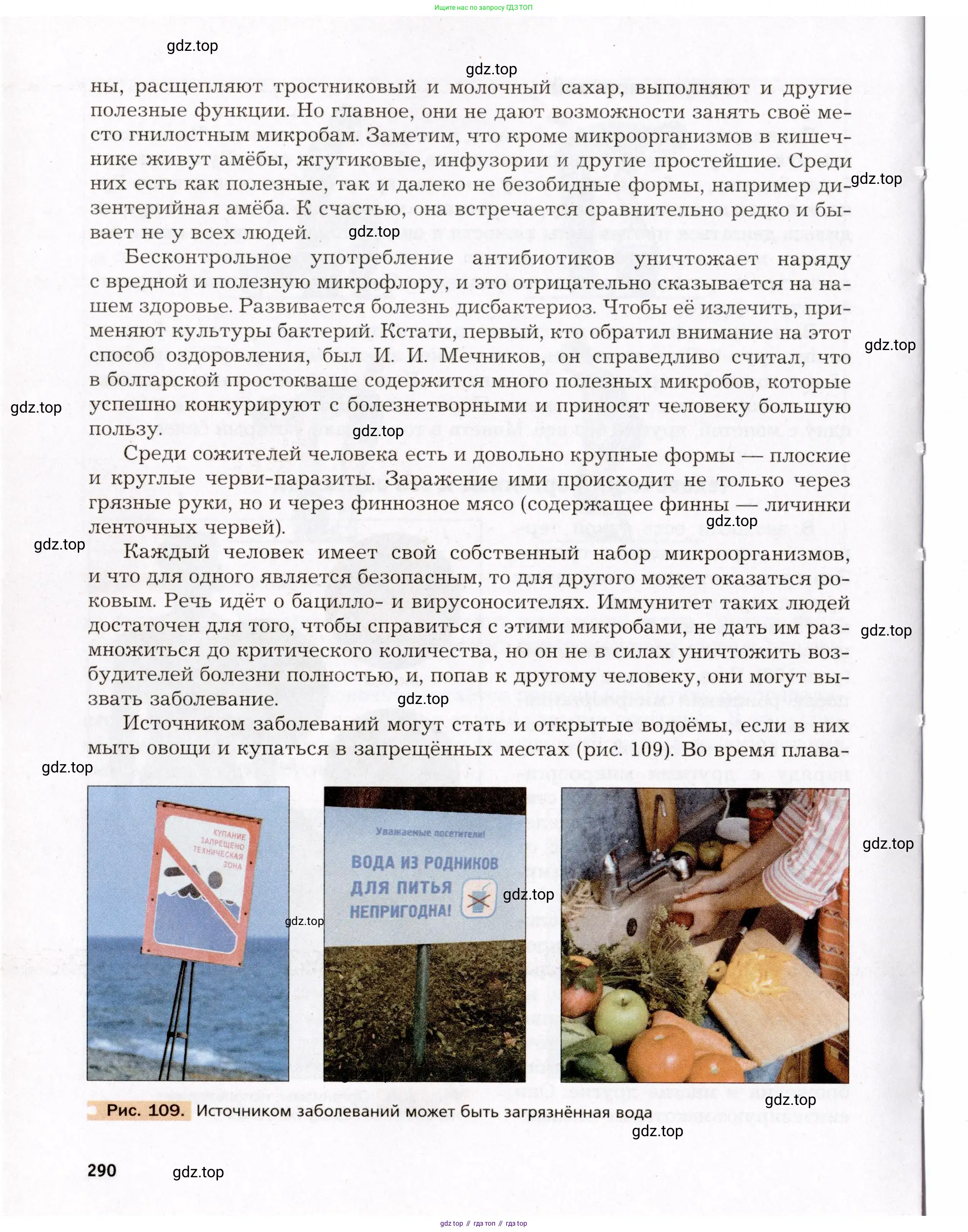 Биология, 8 класс Учебник, авторы: Драгомилов Александр Григорьевич, Маш Реми Давидович, издательство Просвещение, Москва, 2019, оранжевого цвета, страница 290