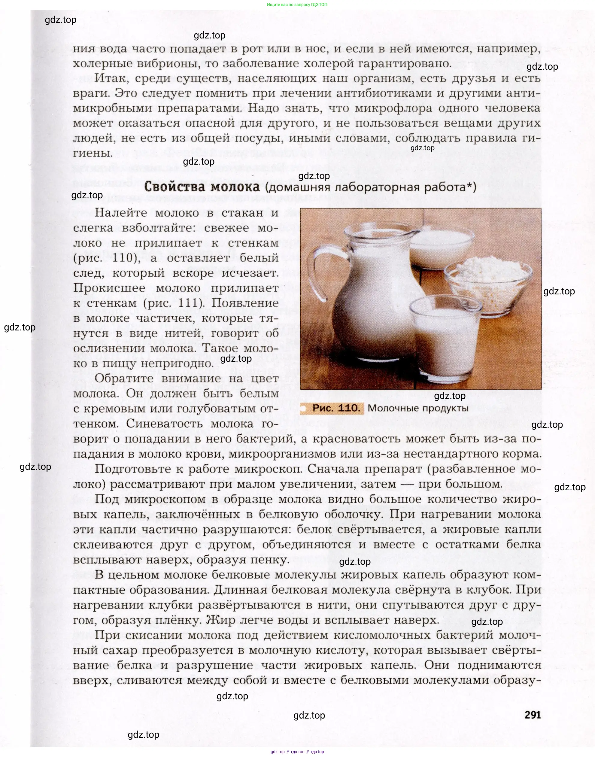 Биология, 8 класс Учебник, авторы: Драгомилов Александр Григорьевич, Маш Реми Давидович, издательство Просвещение, Москва, 2019, оранжевого цвета, страница 291