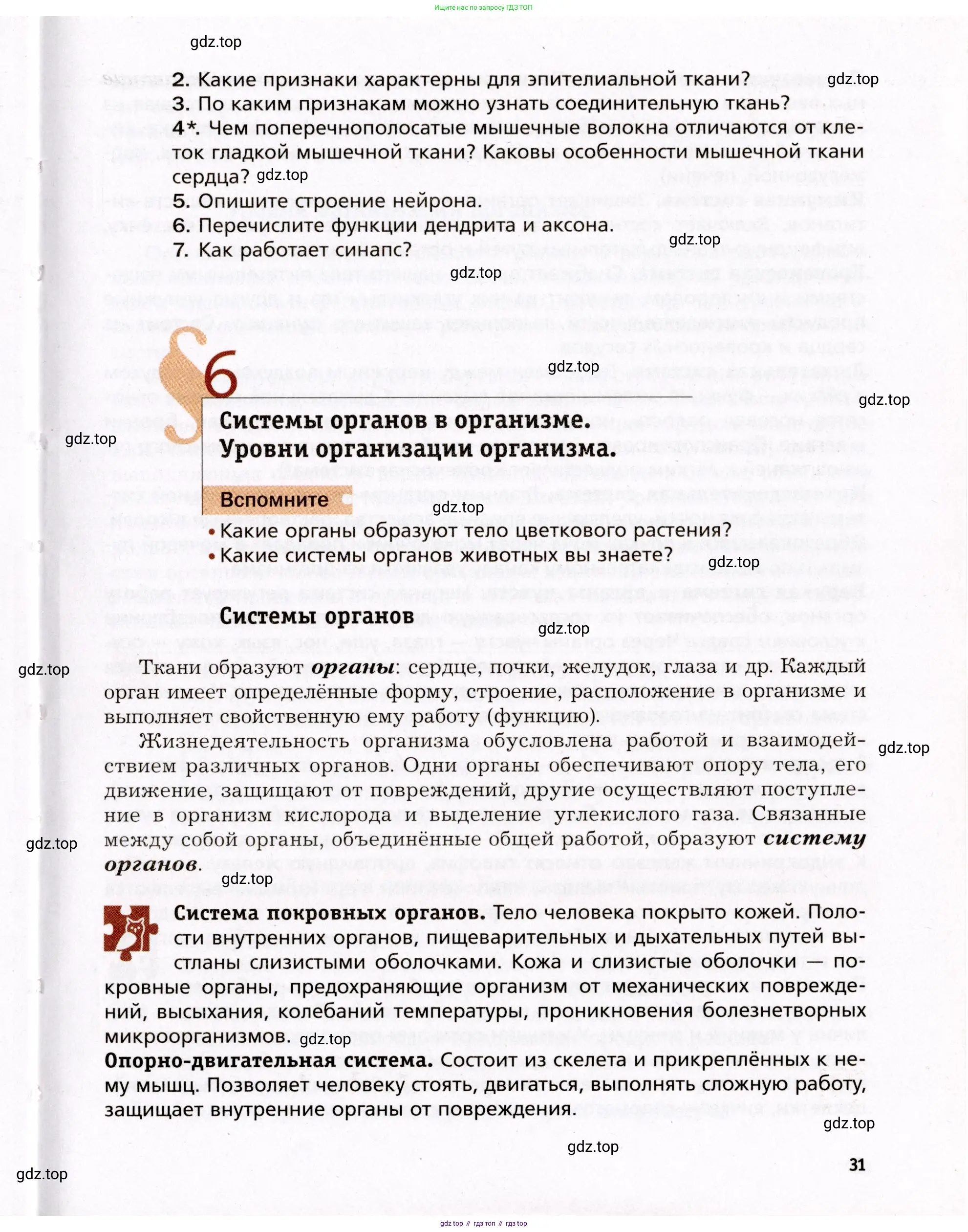 Биология, 8 класс Учебник, авторы: Драгомилов Александр Григорьевич, Маш Реми Давидович, издательство Просвещение, Москва, 2019, оранжевого цвета, страница 31
